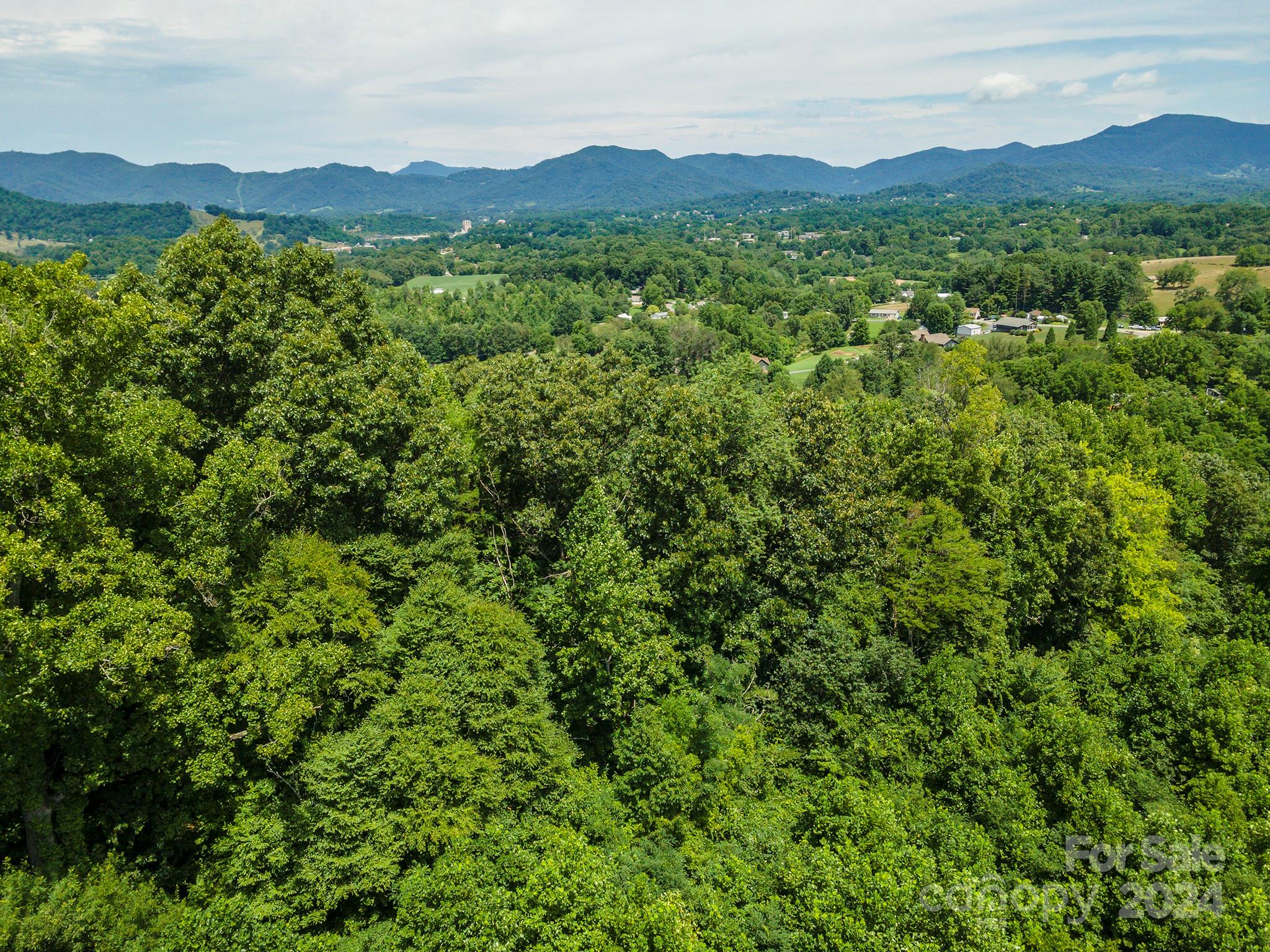 999999 Kims Cove Road Canton, NC 28716 - Photo 18 of 31 a view of a lush green hillside and a mountain view