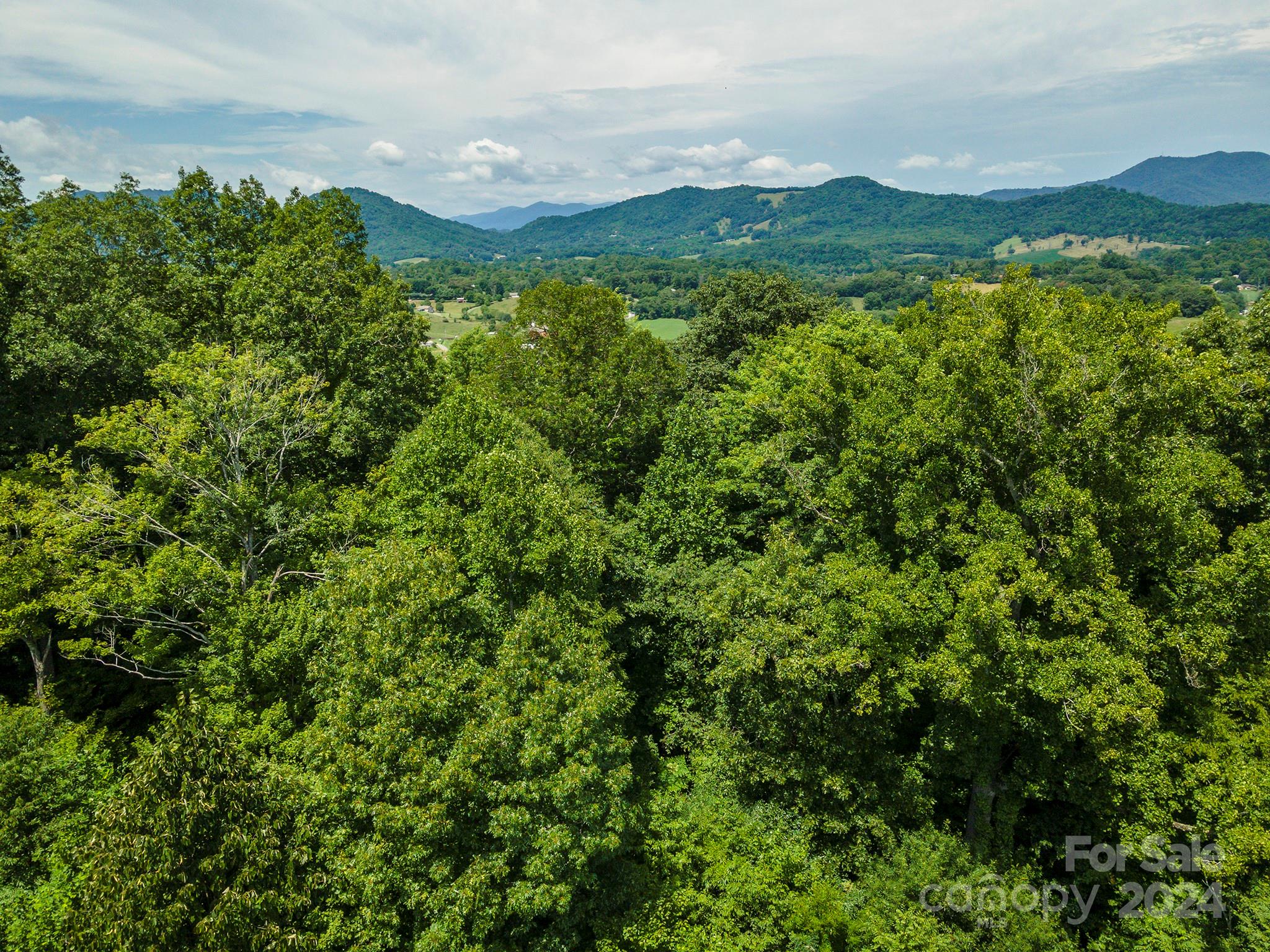 999999 Kims Cove Road Canton, NC 28716 - Photo 19 of 31 a view of a lush green forest with a houses