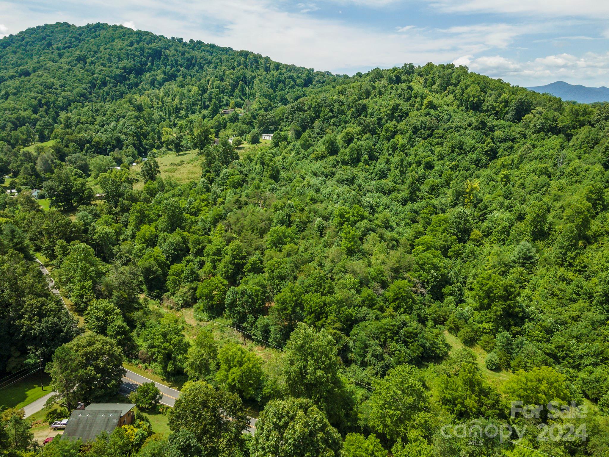 999999 Kims Cove Road Canton, NC 28716 - Photo 2 of 31 a view of a lush green forest