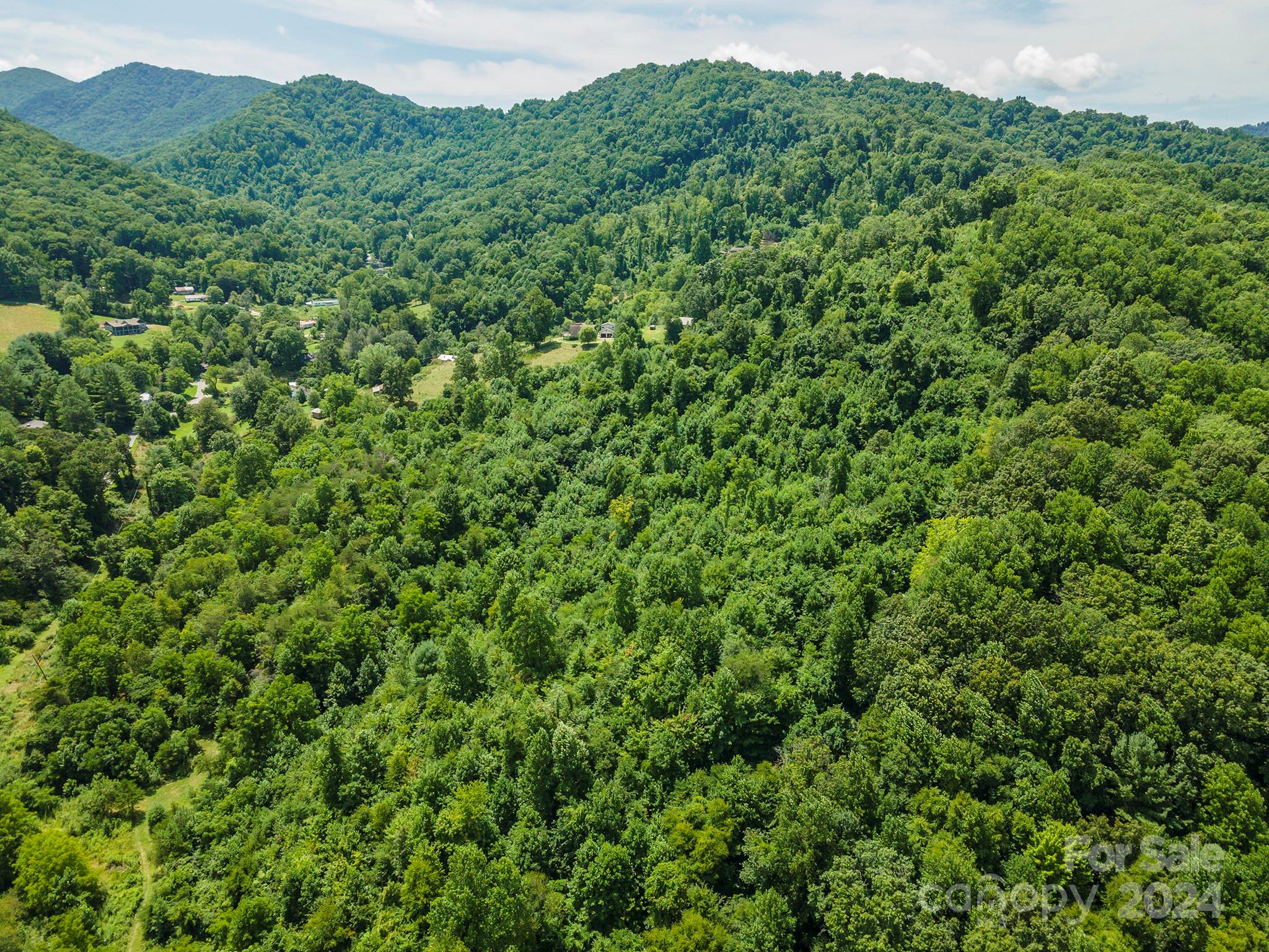 999999 Kims Cove Road Canton, NC 28716 - Photo 23 of 31 a view of a lush green forest with a house in the background