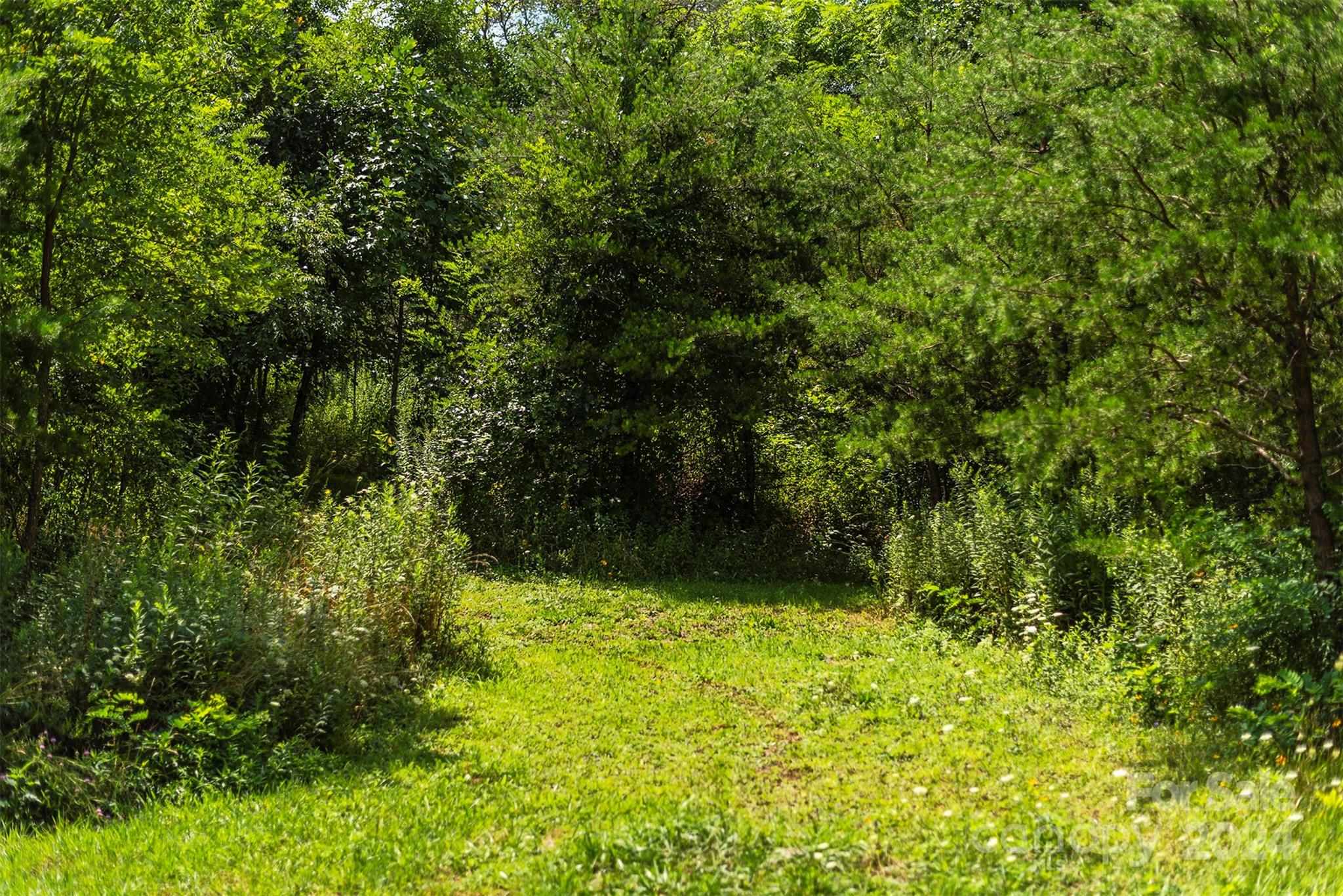 999999 Kims Cove Road Canton, NC 28716 - Photo 25 of 31 a view of outdoor space and yard