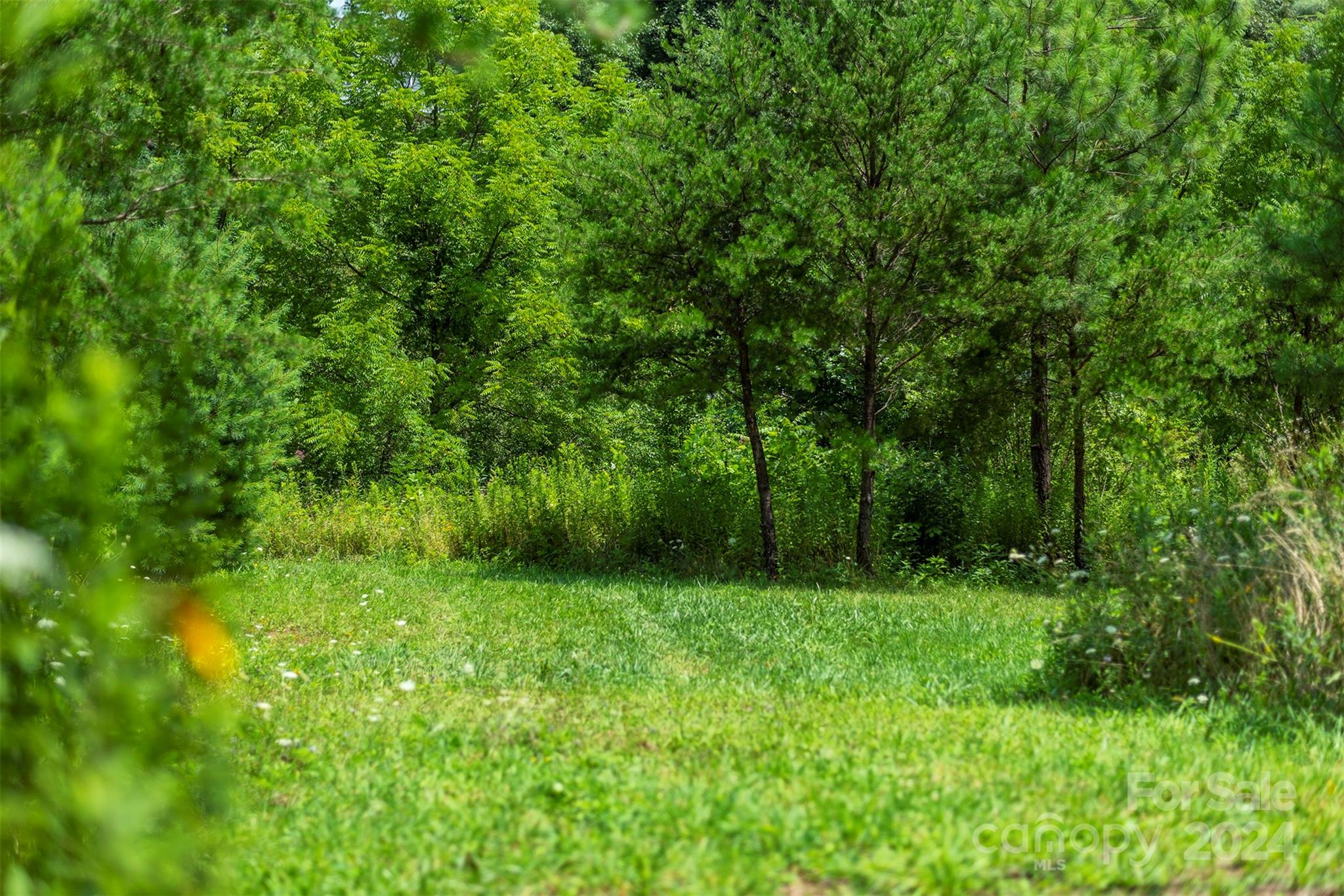 999999 Kims Cove Road Canton, NC 28716 - Photo 29 of 31 a view of an outdoor space and a yard