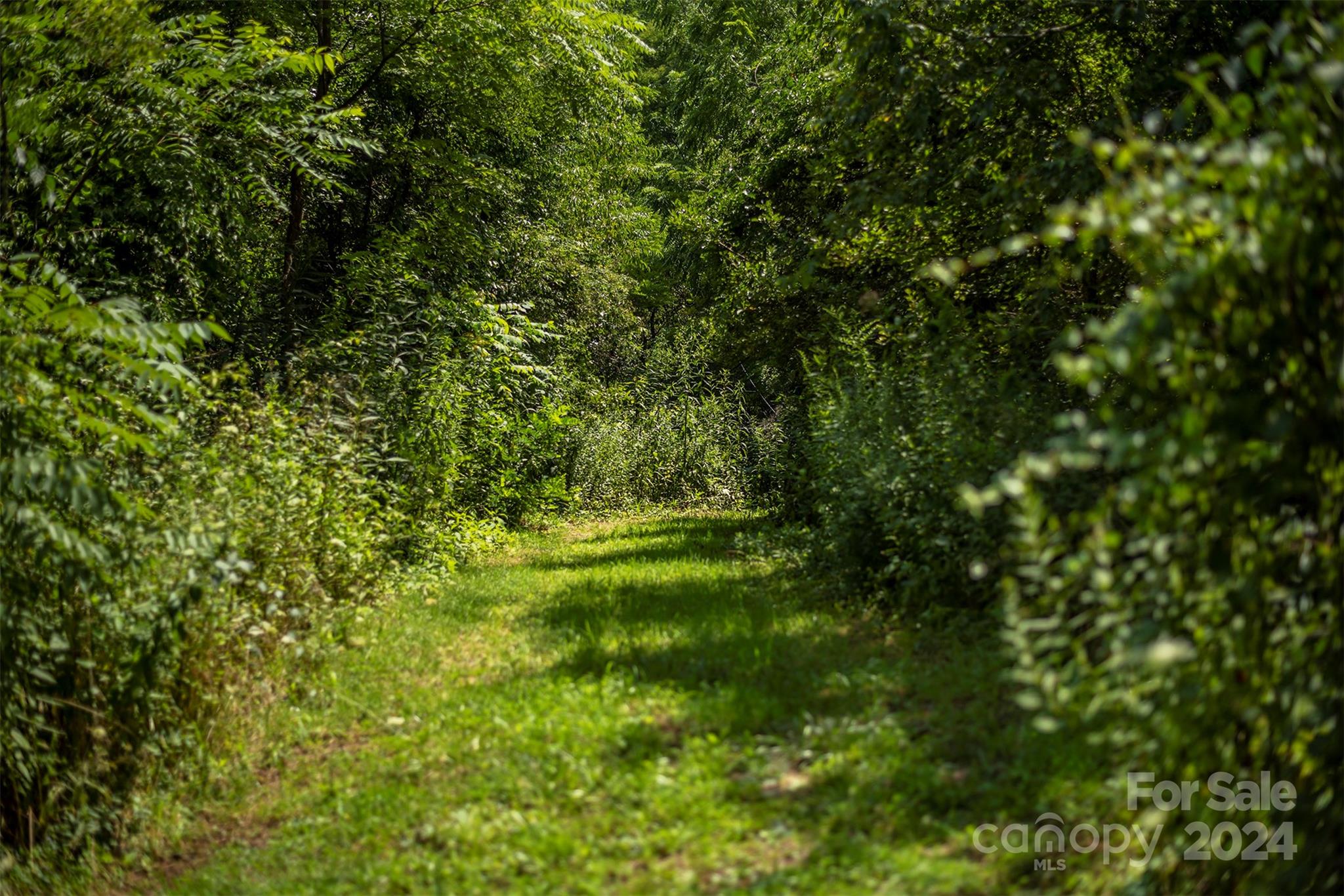 999999 Kims Cove Road Canton, NC 28716 - Photo 30 of 31 a view of a yard
