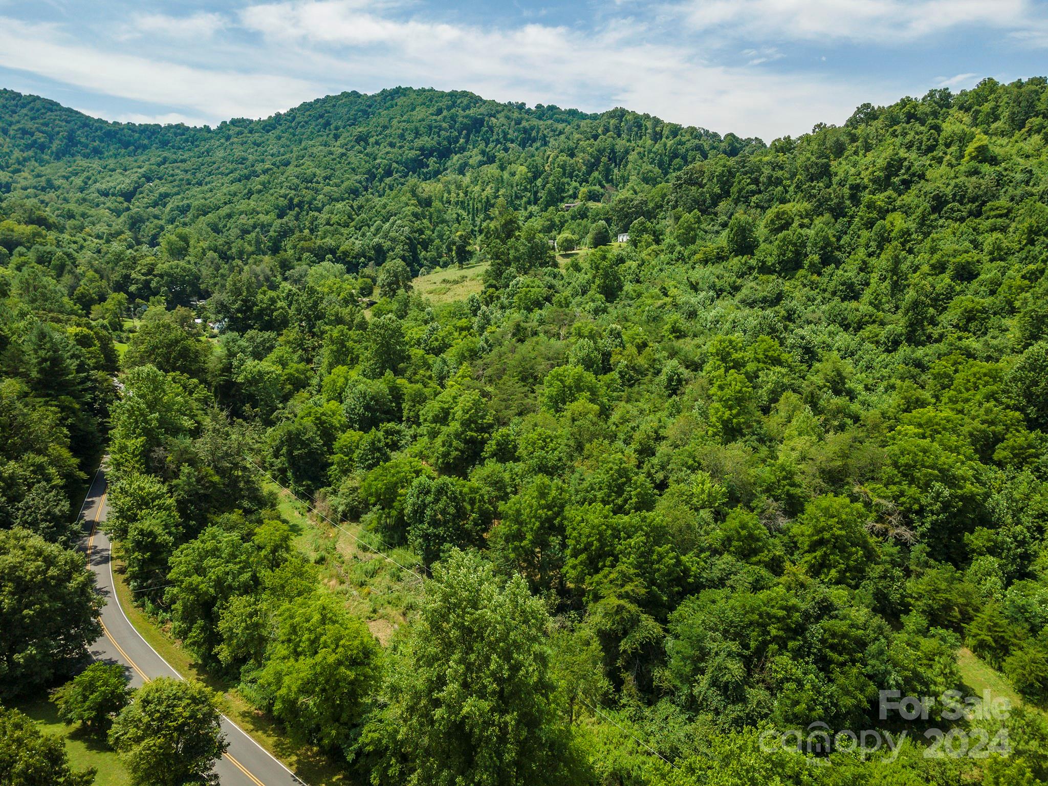 999999 Kims Cove Road Canton, NC 28716 - Photo 3 of 31 a view of a lush green field