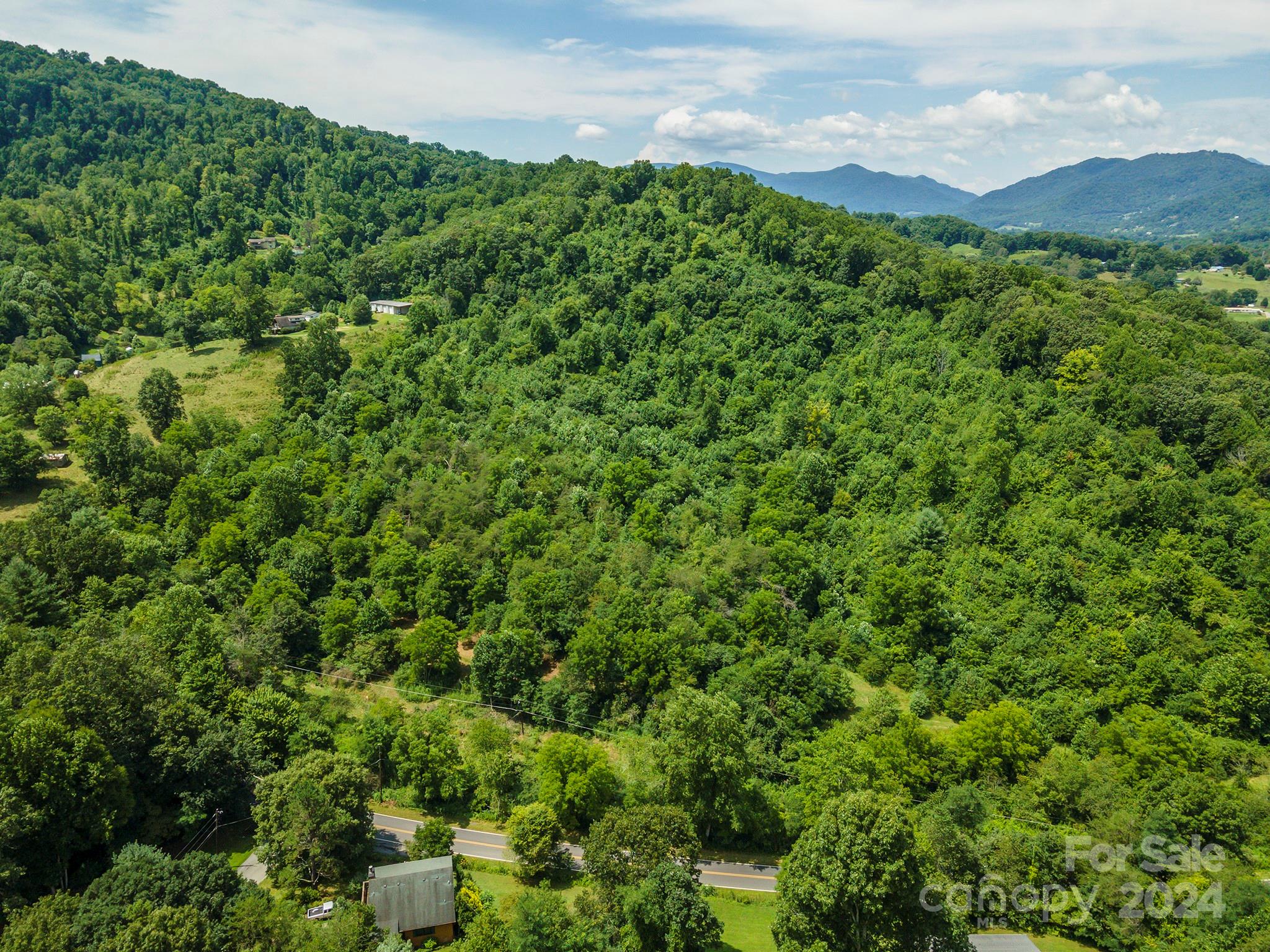 999999 Kims Cove Road Canton, NC 28716 - Photo 4 of 31 a view of a lush green forest with lots of trees