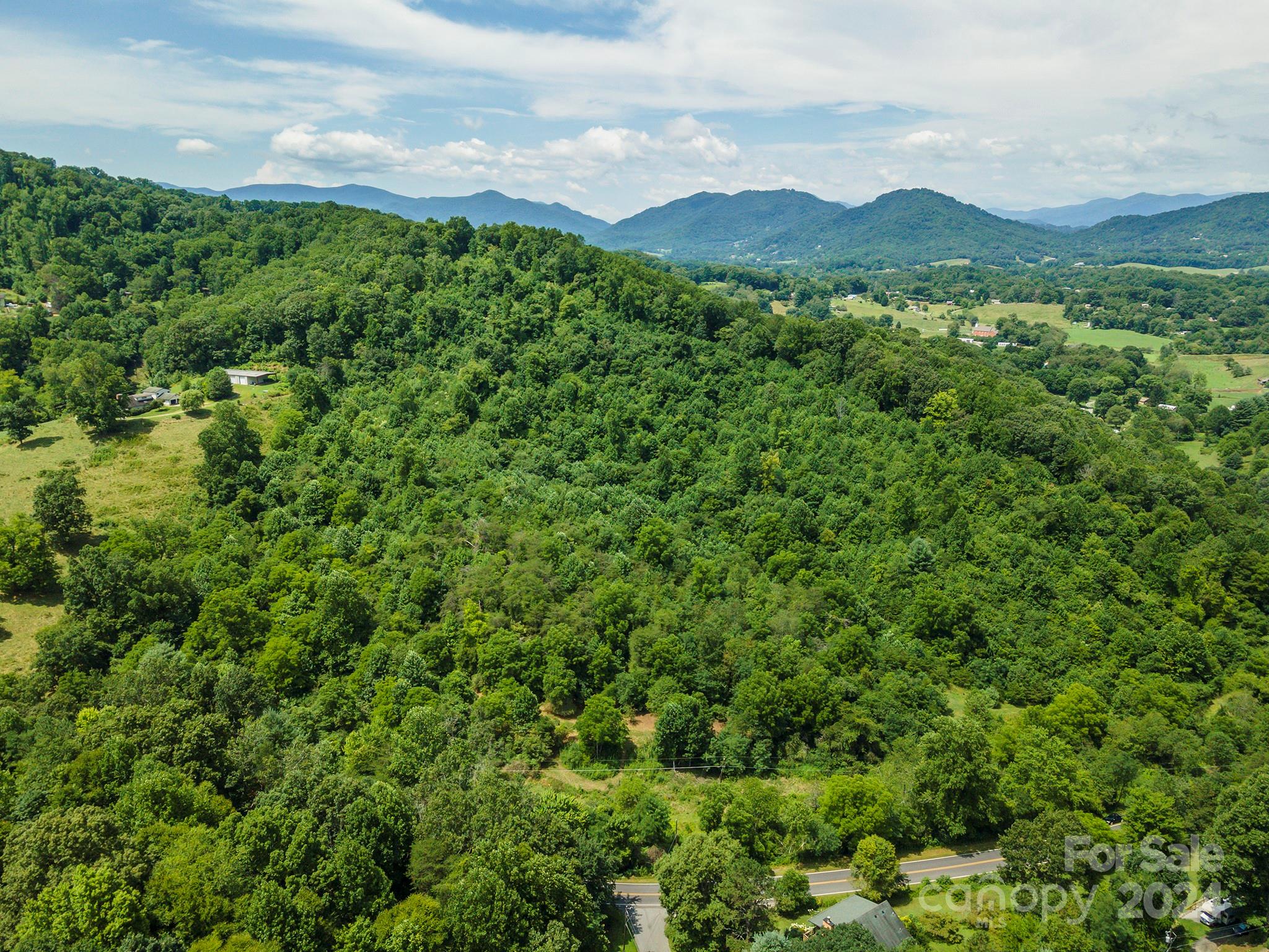 999999 Kims Cove Road Canton, NC 28716 - Photo 6 of 31 a view of a lush green forest with a mountain in the background