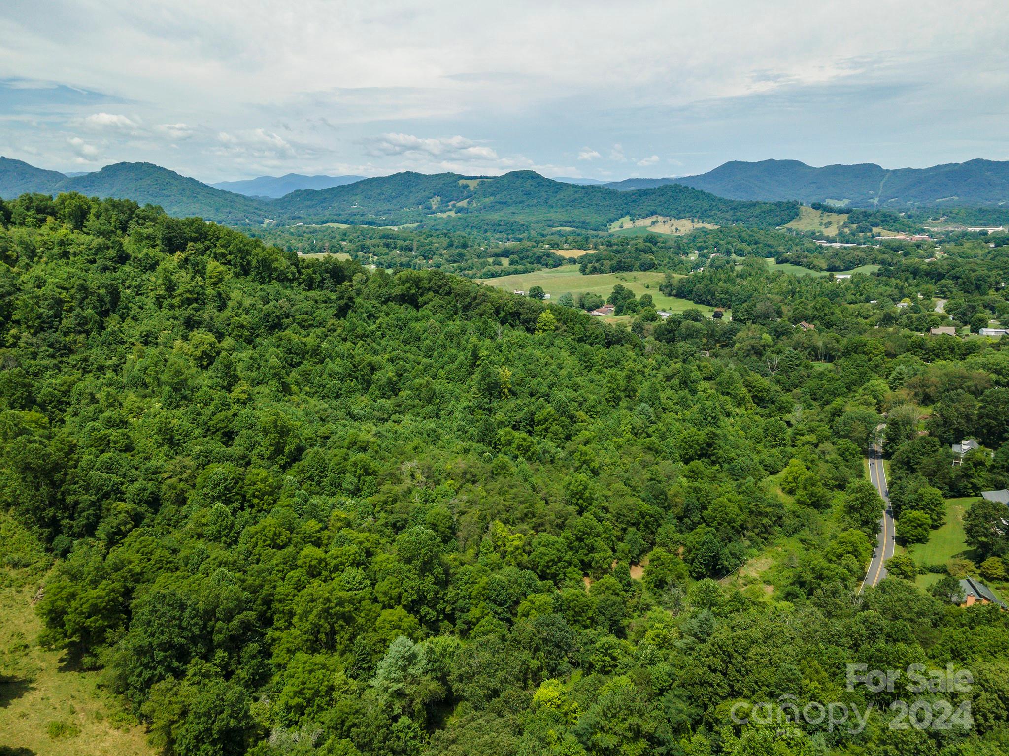 999999 Kims Cove Road Canton, NC 28716 - Photo 10 of 31 a view of a city with lush green forest