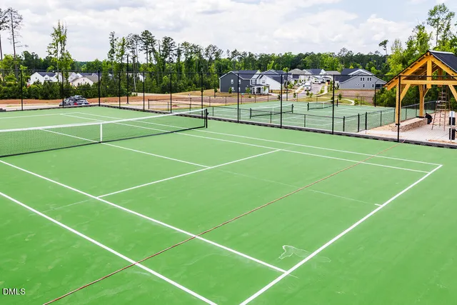 a view of a forest filled with trees