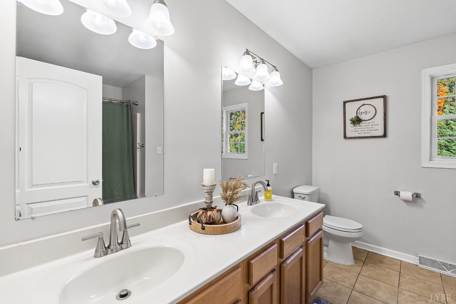 2739 Chilton Road Appomattox, VA 24522 - Photo 20 of 30 a bathroom with a sink a toilet and a mirror
