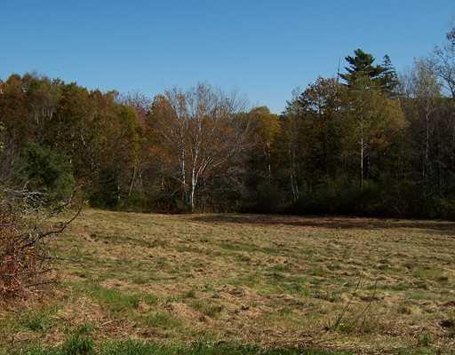 329 Wallston Road Tenants Harbor, ME 04860 - Photo 11 of 25 Yard/Garden. Great pasture land. ...