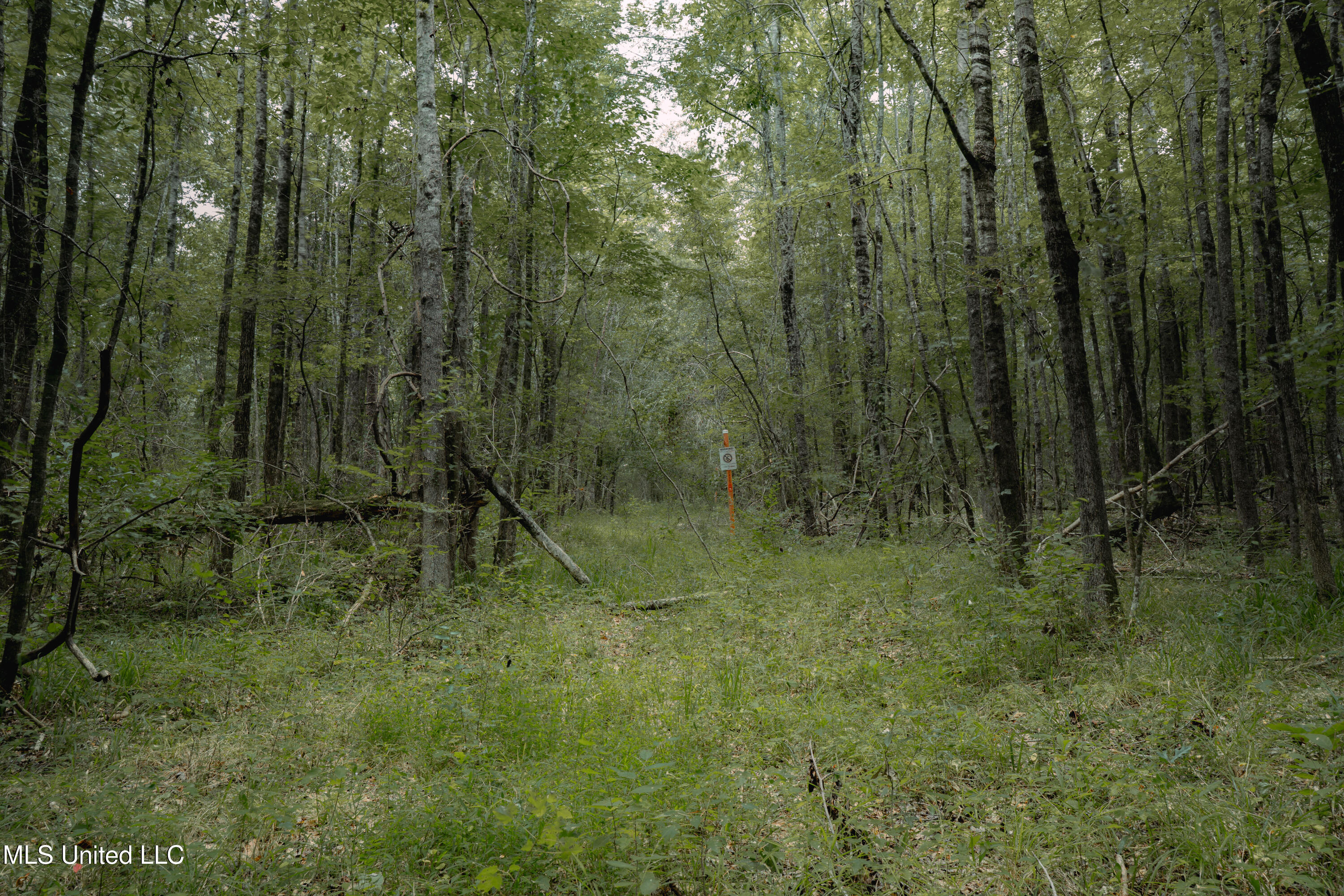 0 Dog Pen Road Durant, MS 39063 - Photo 2 of 11 70% Compressed-42