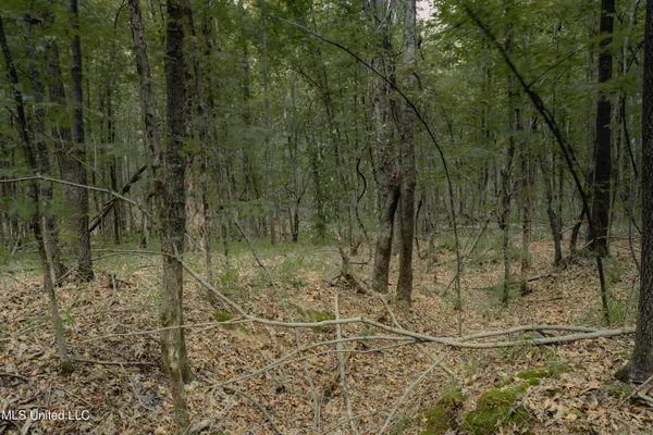 $35,000 | 0 Dog Pen Road, Durant, MS 39063
