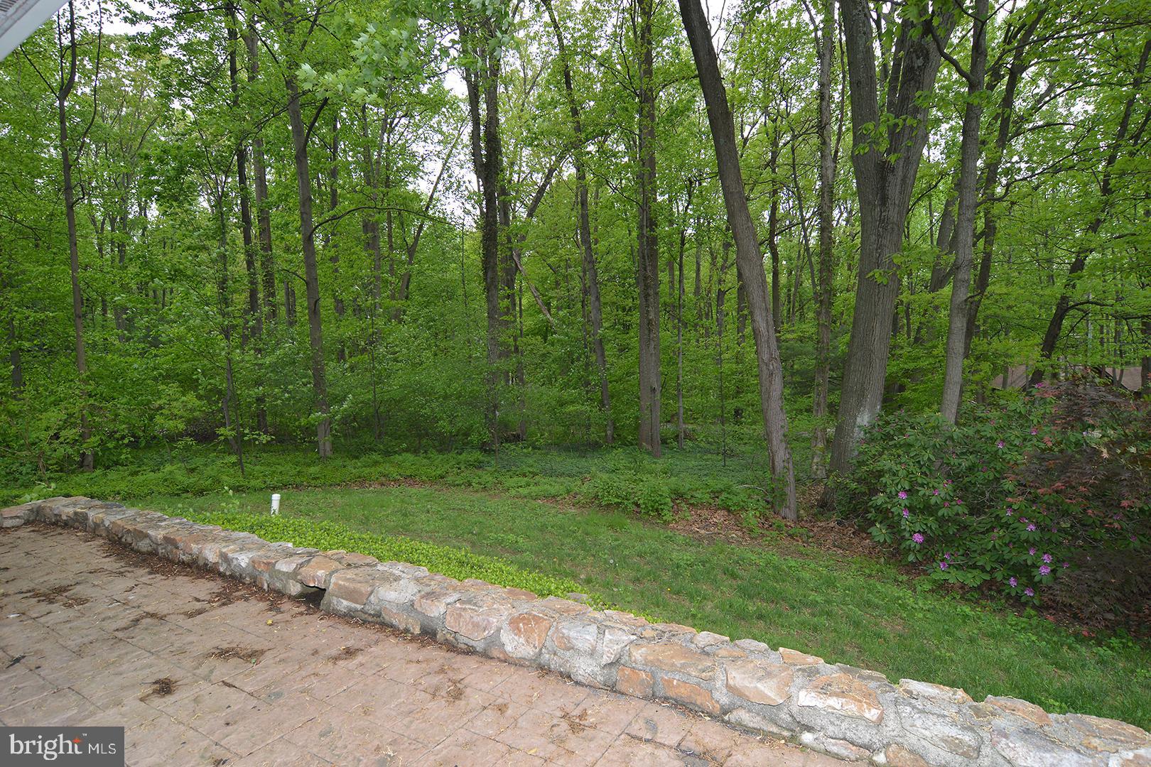 164 Icedale Road Honey Brook, PA 19344 - Photo 5 of 43 Gallery Image 5