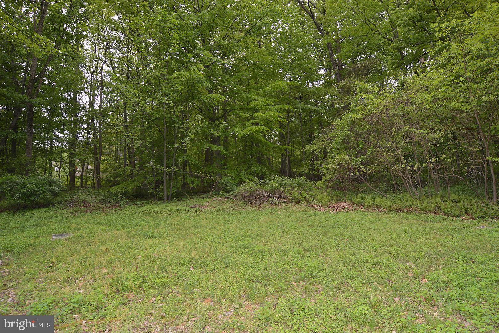 164 Icedale Road Honey Brook, PA 19344 - Photo 41 of 43 Gallery Image 41