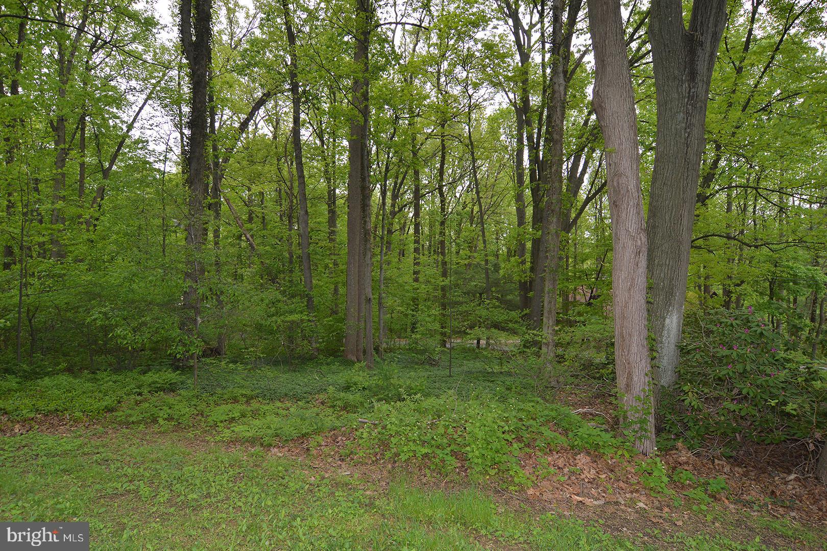 164 Icedale Road Honey Brook, PA 19344 - Photo 7 of 43 Gallery Image 7