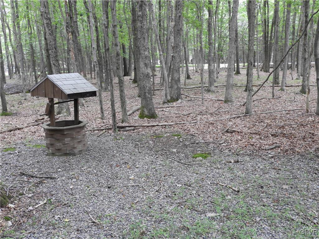 115 Sassafras Road Albrightsville, PA 18210 - Photo 36 of 41 Beautiful Nature