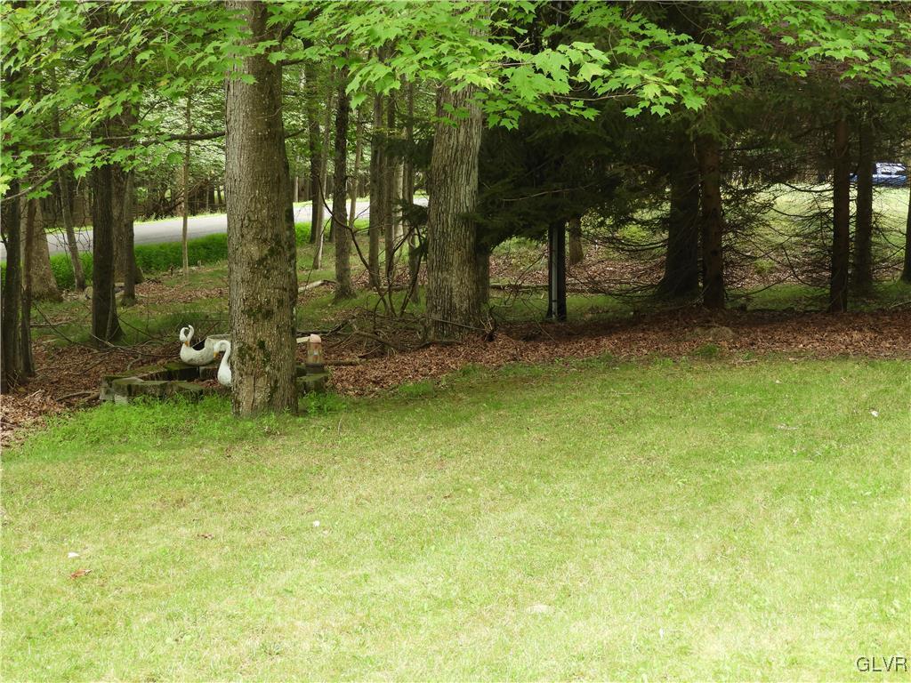 115 Sassafras Road Albrightsville, PA 18210 - Photo 9 of 41 Nice Yard