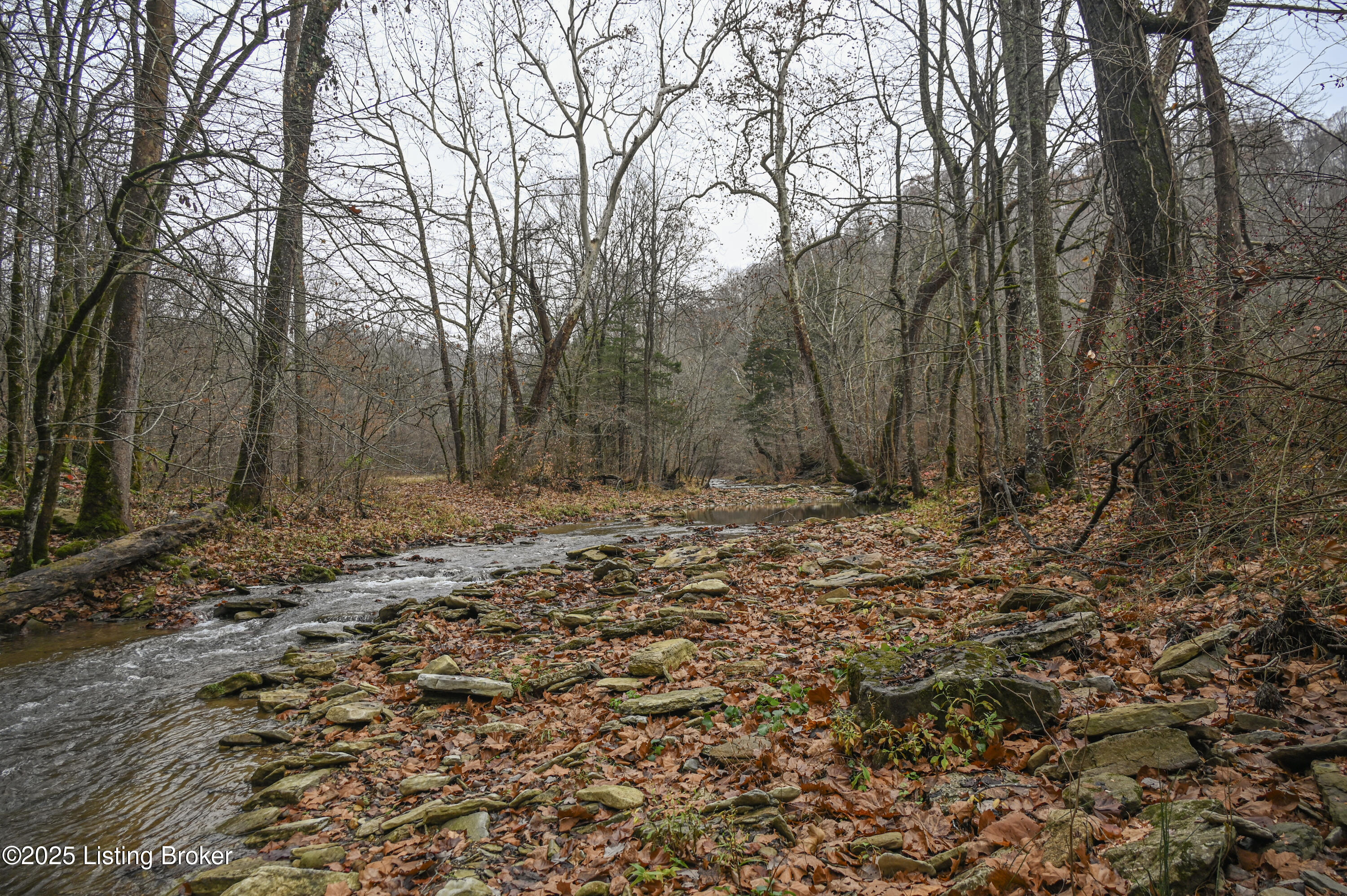 3095 Herbert Howell Road Hodgenville, KY 42748 - Photo 50 of 80 28-DSC_0964