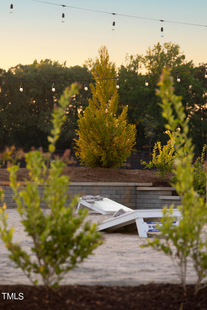 136 Siebold Street Garner, NC 27529 - Photo 43 of 43 RDU_MagnoliaPark_Amenity_Social5_close