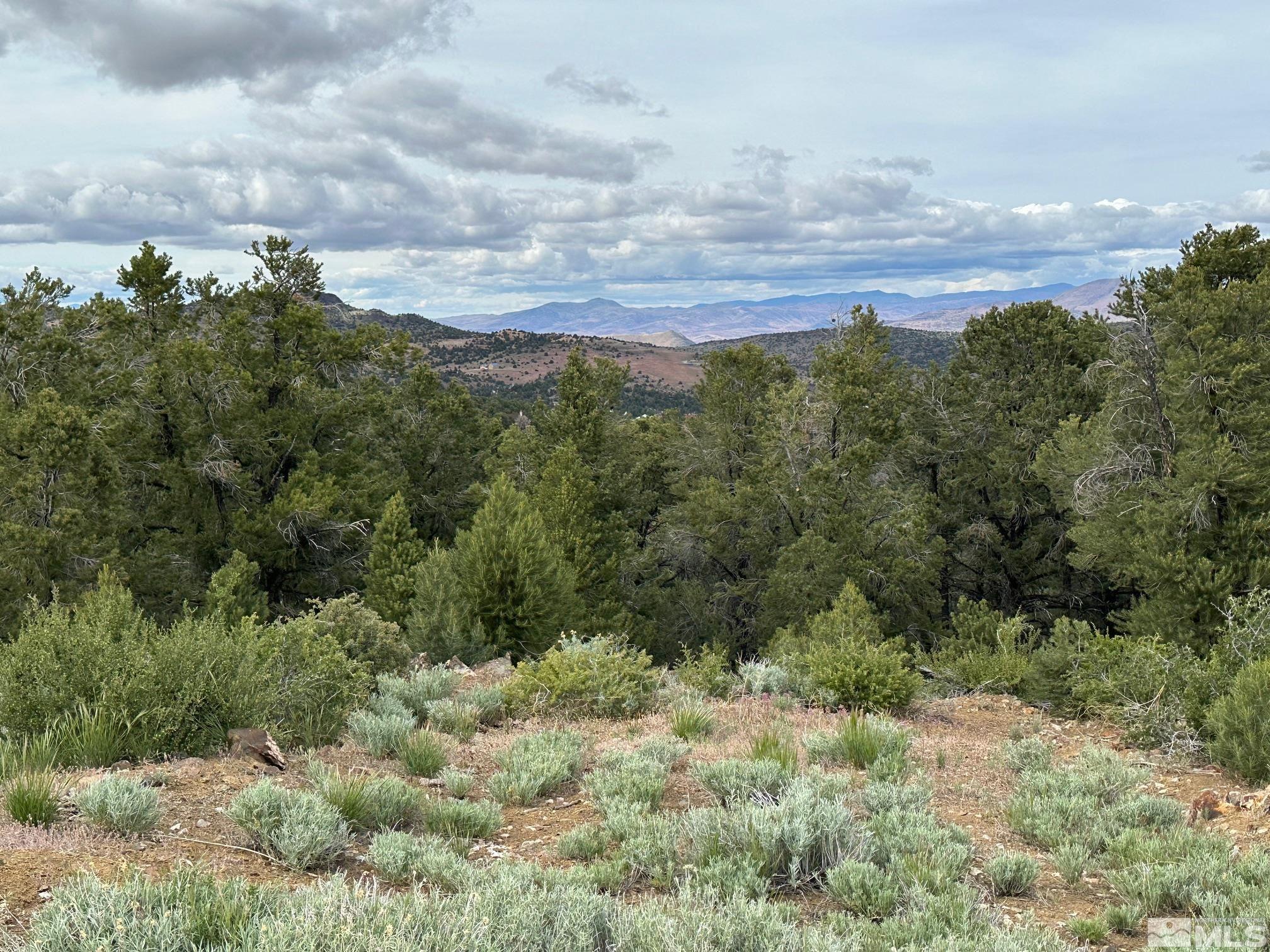 1685 Nugget Road Reno, NV 89521 - Photo 1 of 1 an aerial view of houses covered in trees