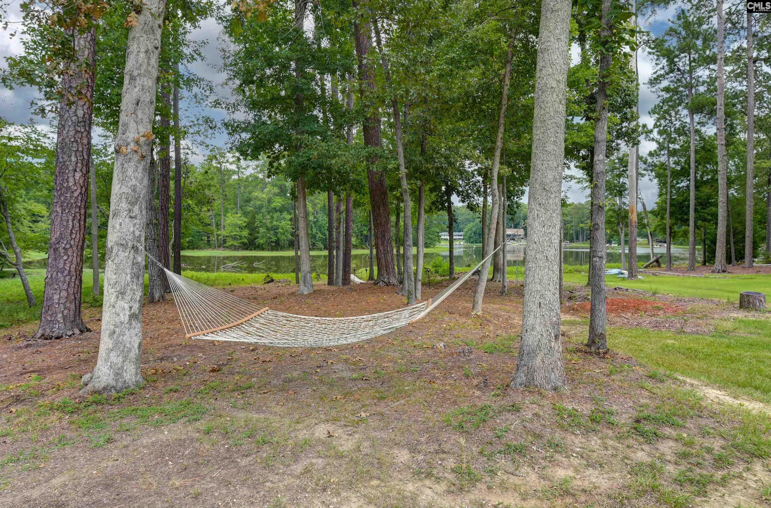 631 Sandbar Road Chapin, SC 29036 - Photo 57 of 65 Gallery Image 57
