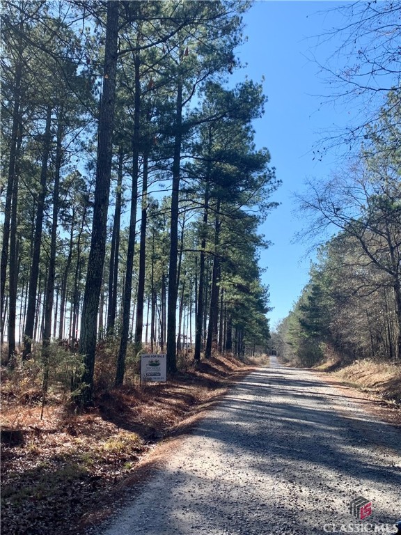 0 Indian Creek Road Good Hope, GA 30641 - Photo 2 of 13