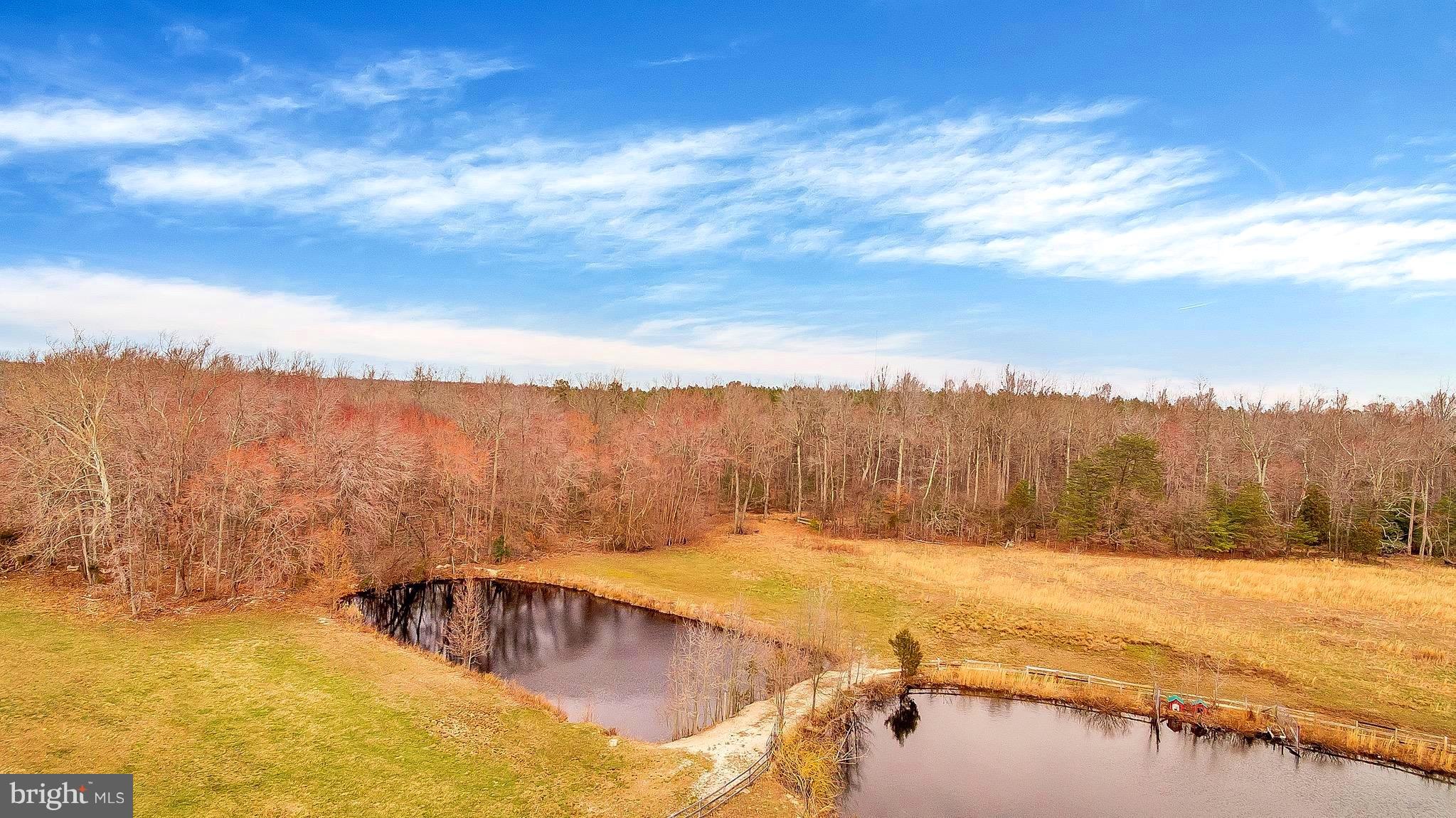 9205 Cedarville Road Brandywine, MD 20613 - Photo 2 of 30 Stocked ponds