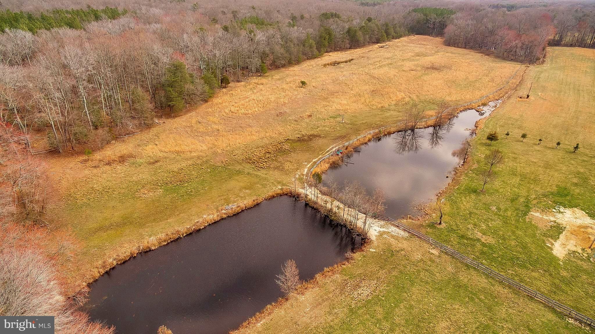 9205 Cedarville Road Brandywine, MD 20613 - Photo 19 of 30 2 stocked ponds behind Main Farm House