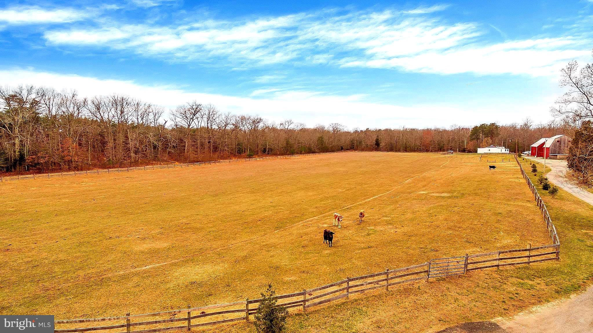 9205 Cedarville Road Brandywine, MD 20613 - Photo 30 of 30 Fenced Pastures
