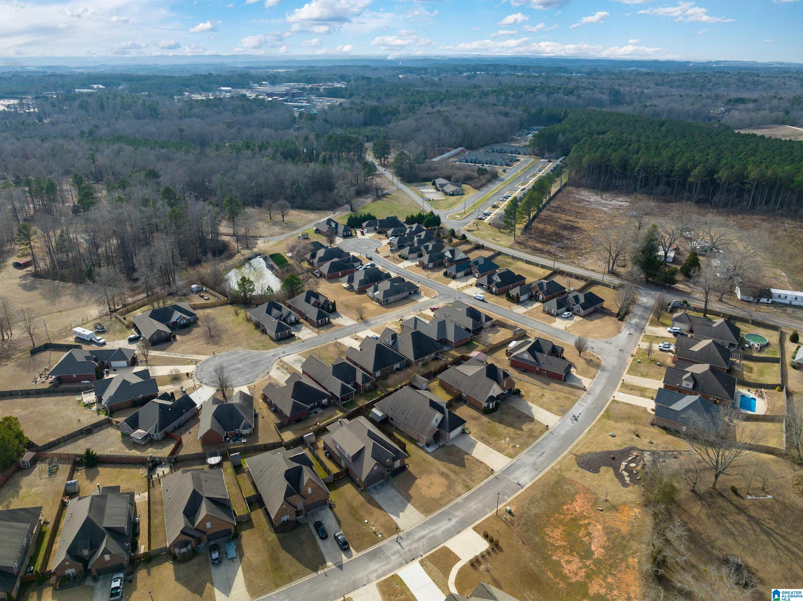 72 Christy Lane Jasper, AL 35504 - Photo 38 of 41