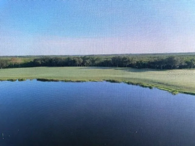 a view of a field with an ocean