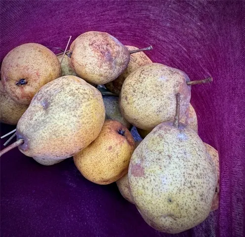 $360,000 | 44507 East 349th Street, Creighton, MO 64739