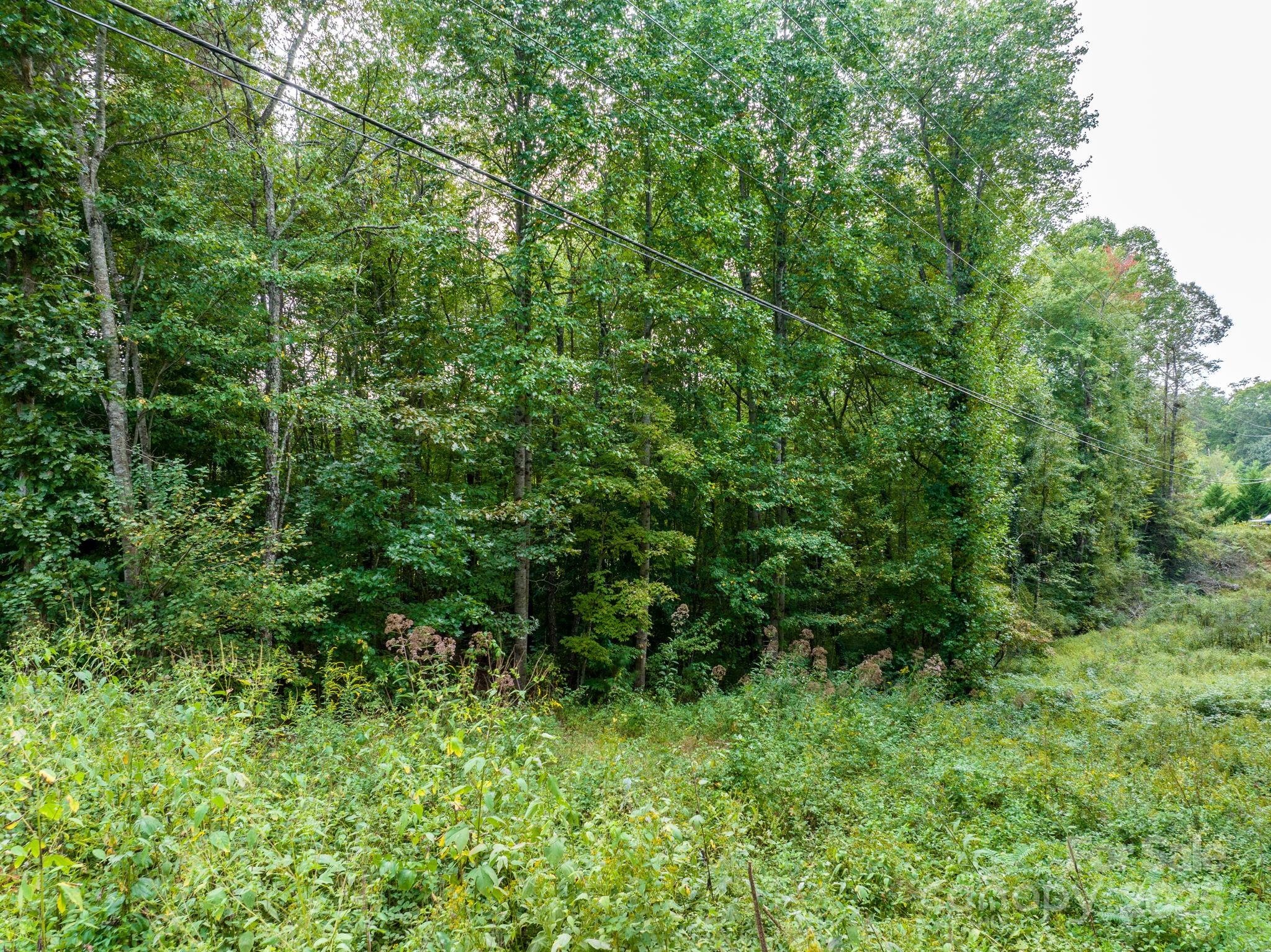 Tbd Ashworth Road Marion, NC 28752 - Photo 23 of 24 Gallery Image 23