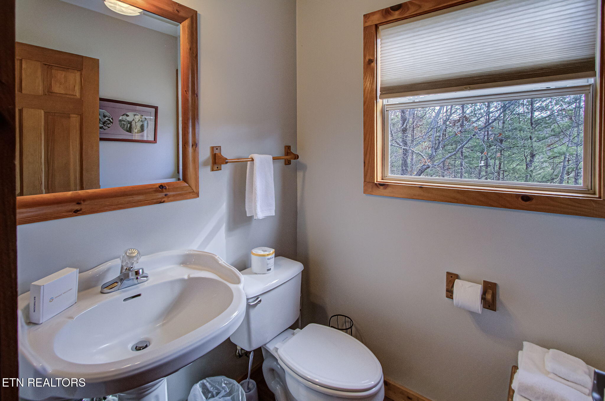 3779 Old Mountain Road Sevierville, TN 37876 - Photo 33 of 53 IMG_6377