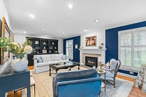 a living room with furniture fireplace and potted plant