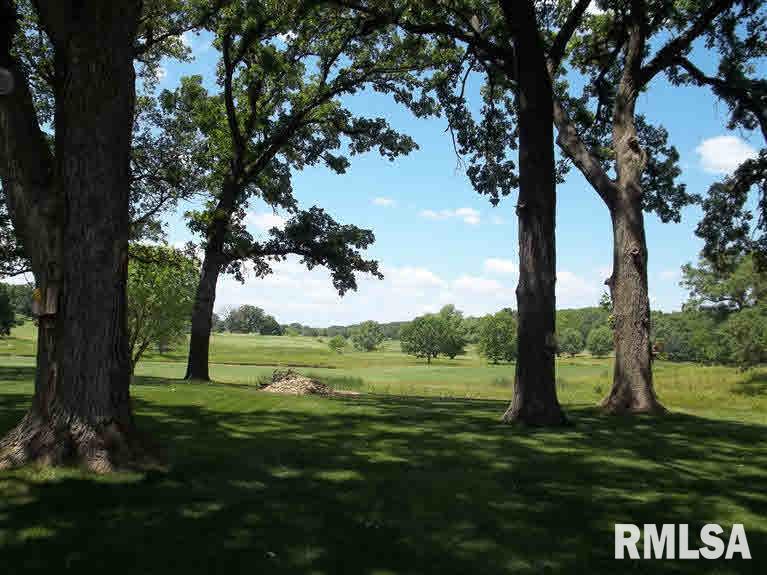 1032 West Le Claire Road Eldridge, IA 52748 - Photo 18 of 19