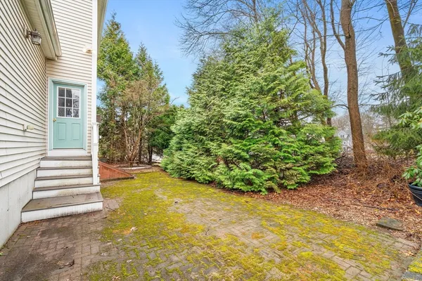 a view of a backyard with plants and large tree