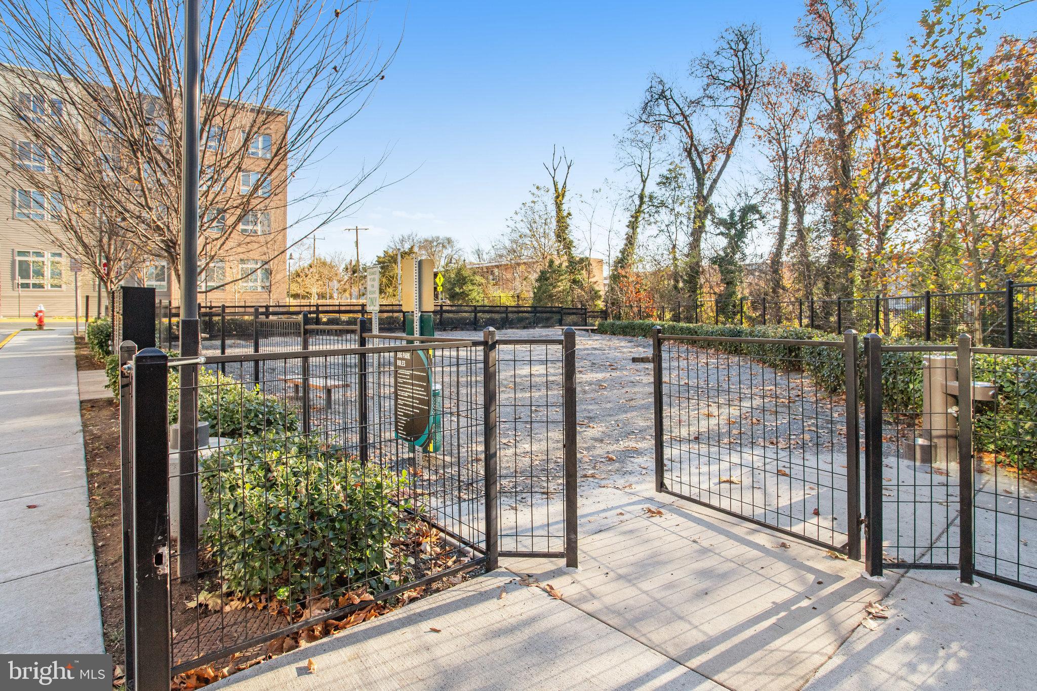 2875 Lowen Valley Road Alexandria, VA 22303 - Photo 54 of 56 Dog Park