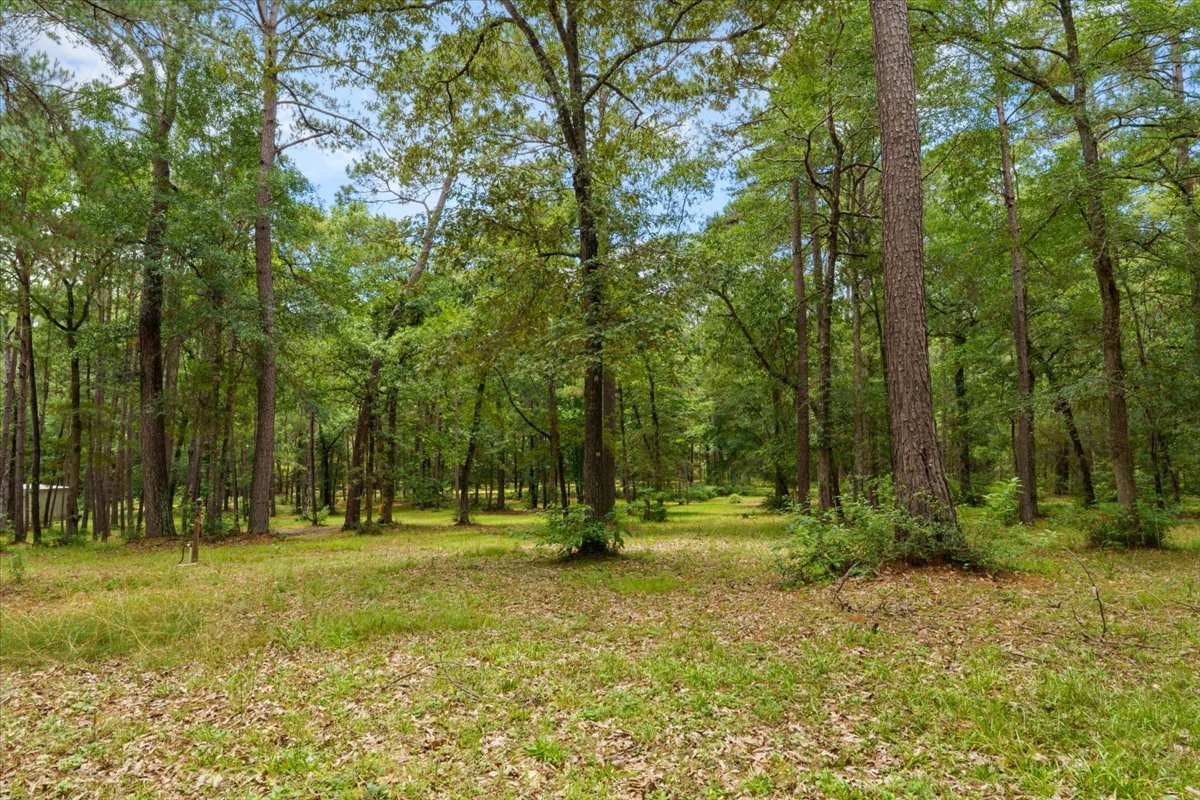 16375 Grand Flower Road Plantersville, TX 77363 - Photo 40 of 50 a ground with lots of trees