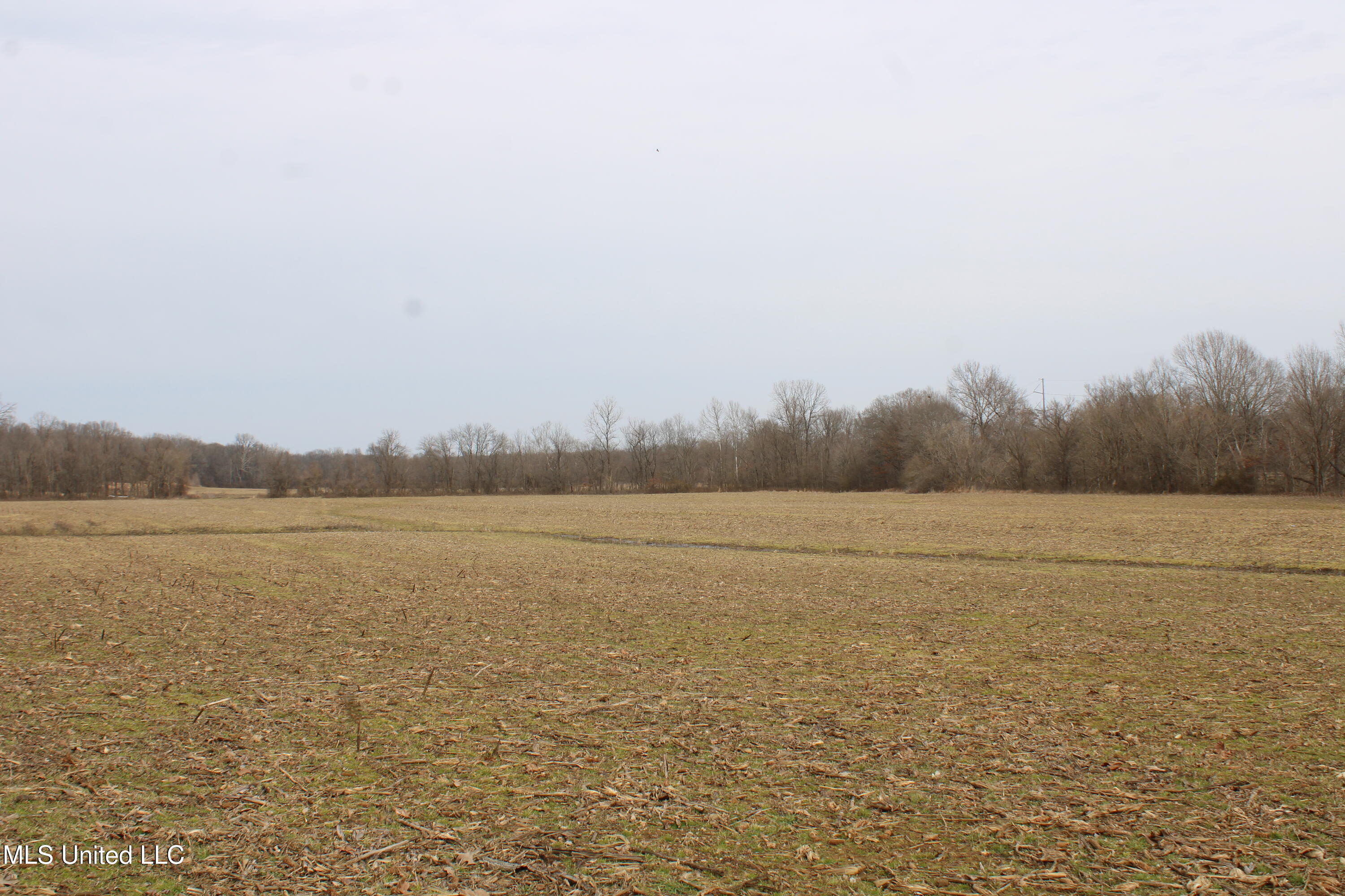 6000 Austin Road Walls, MS 38680 - Photo 1 of 20 land