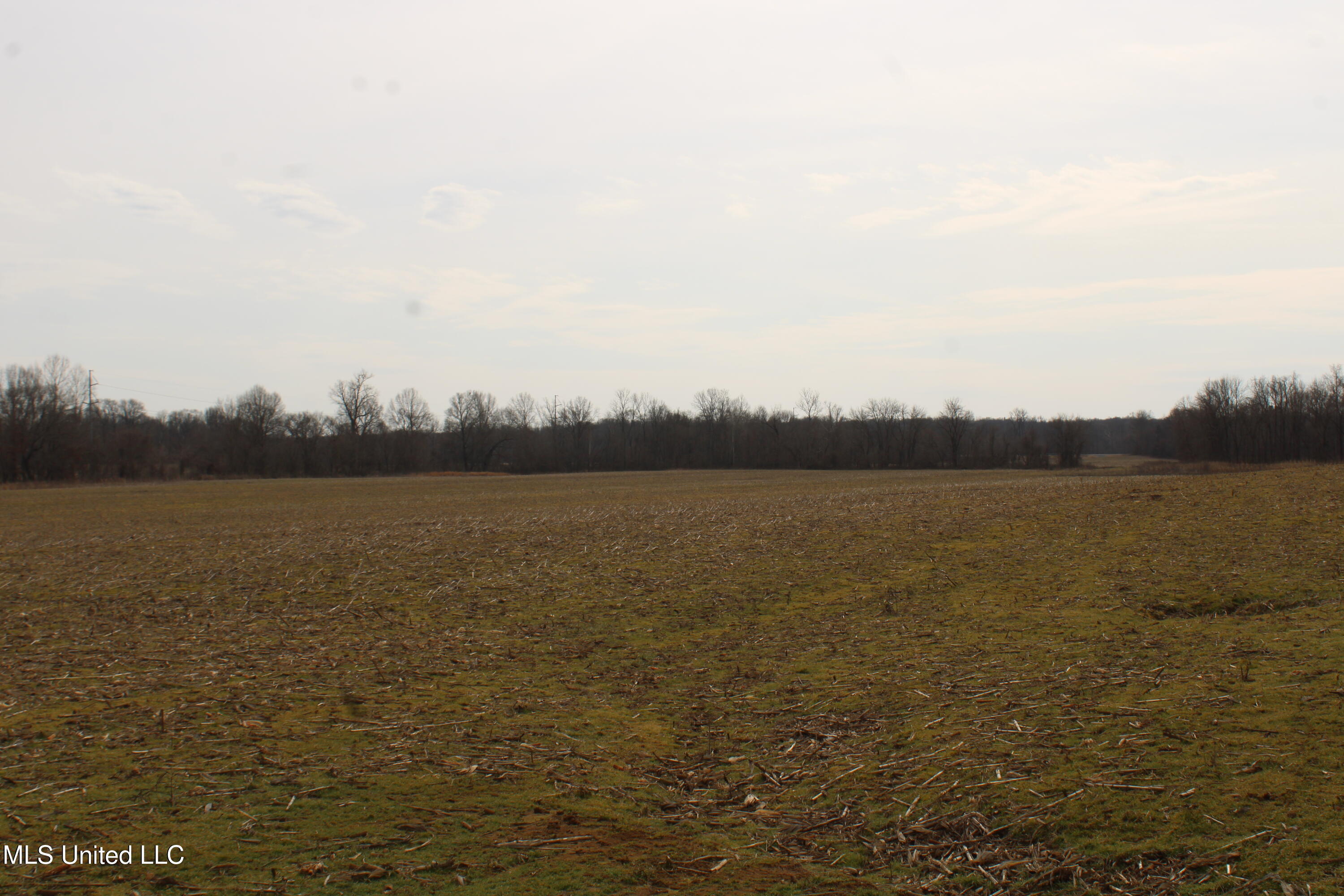 6000 Austin Road Walls, MS 38680 - Photo 12 of 20 IMG_7272