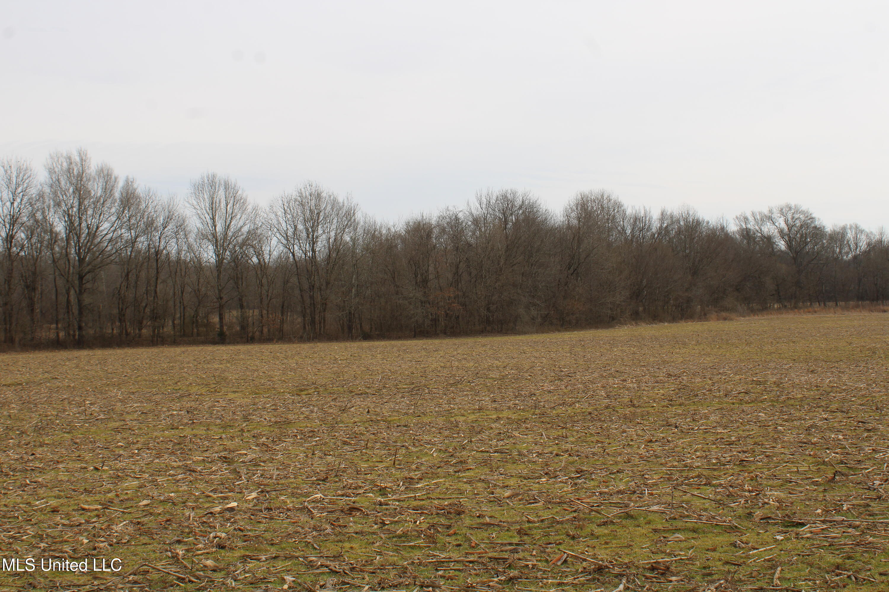 6000 Austin Road Walls, MS 38680 - Photo 13 of 20 IMG_7273