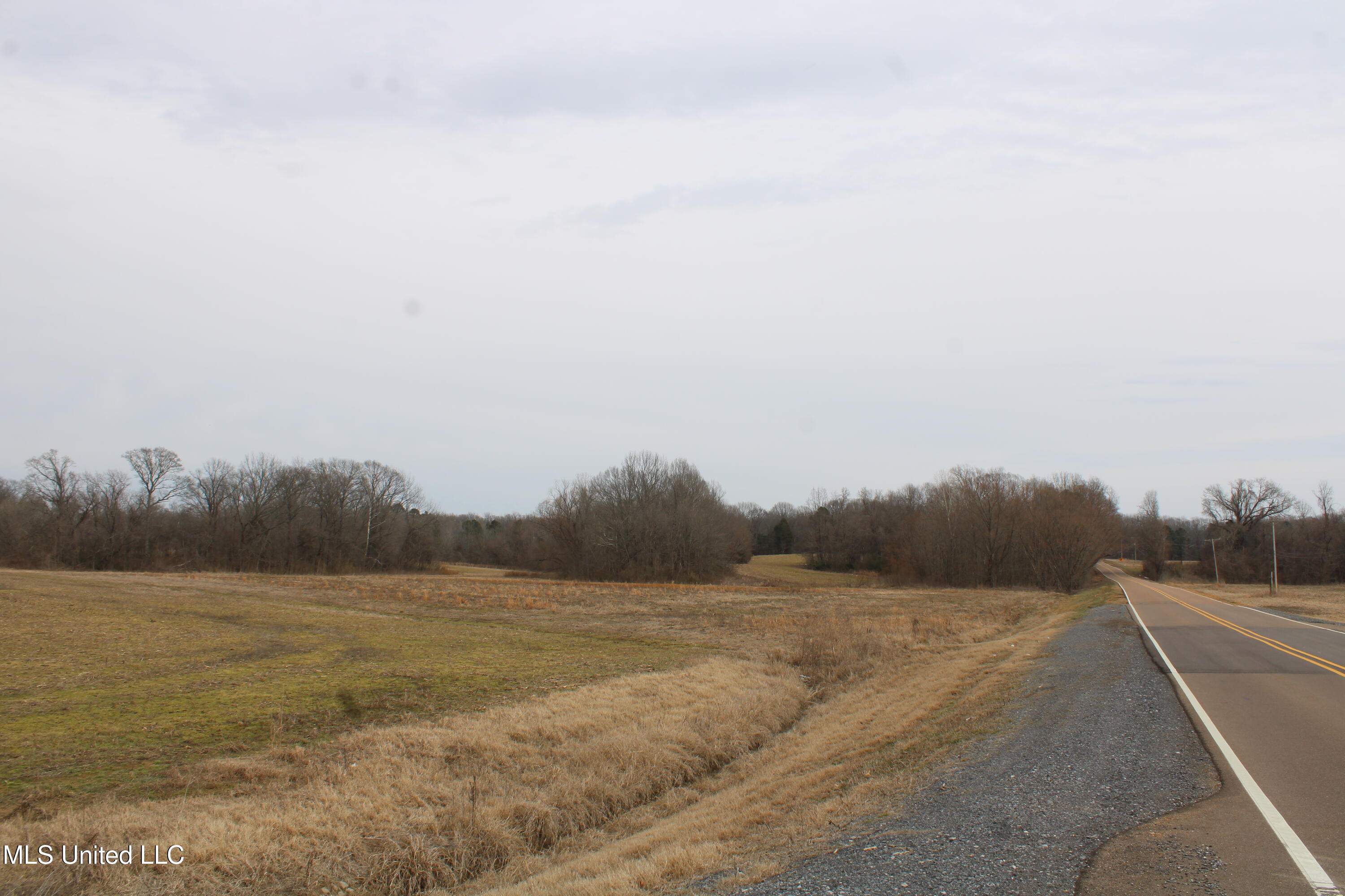 6000 Austin Road Walls, MS 38680 - Photo 15 of 20 IMG_7278