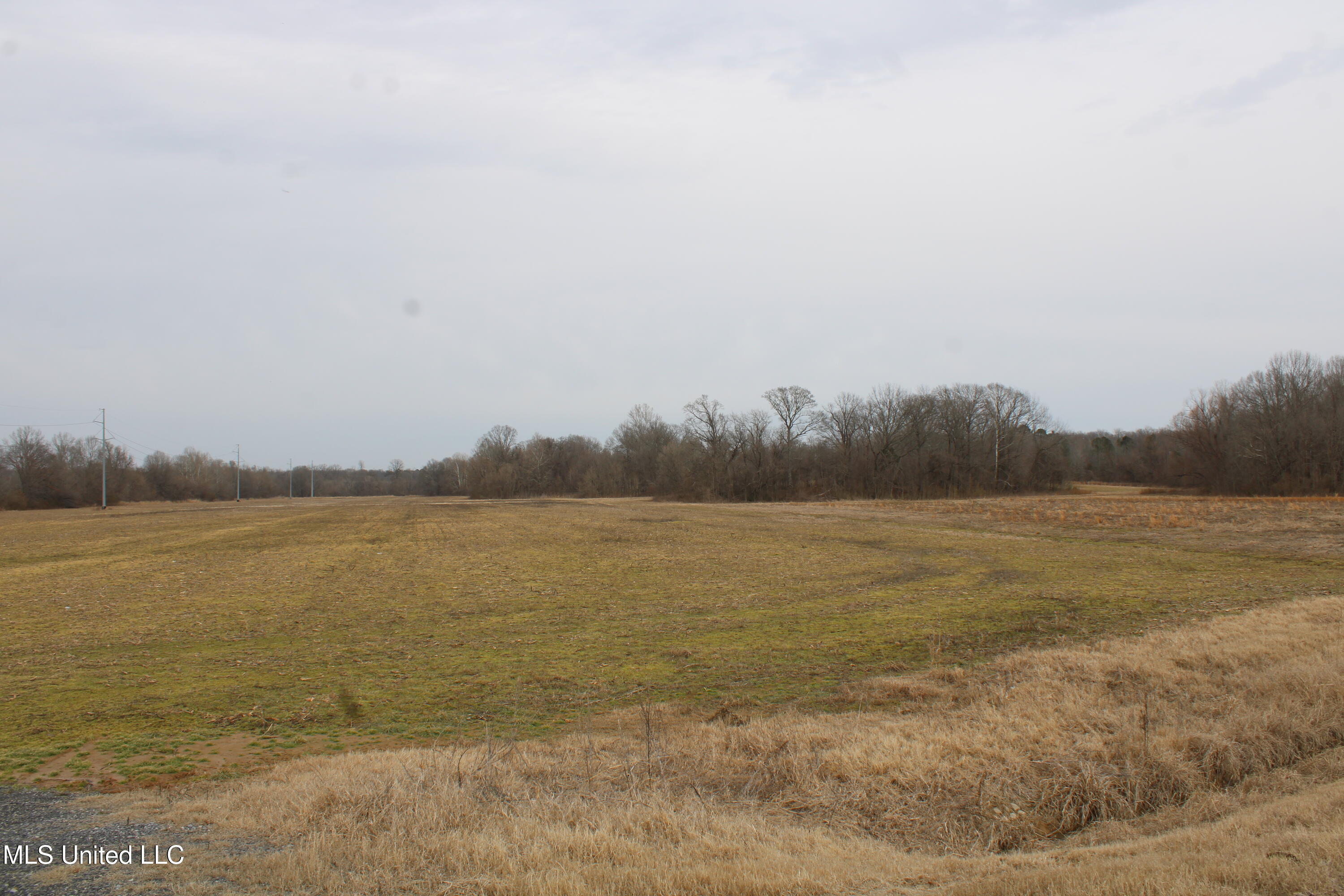 6000 Austin Road Walls, MS 38680 - Photo 16 of 20 IMG_7279