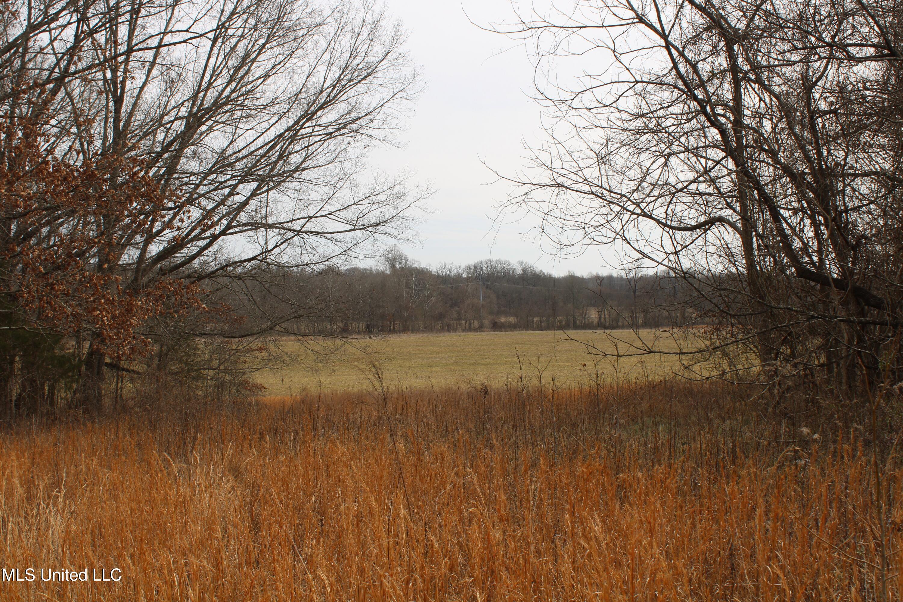 6000 Austin Road Walls, MS 38680 - Photo 17 of 20 IMG_7270