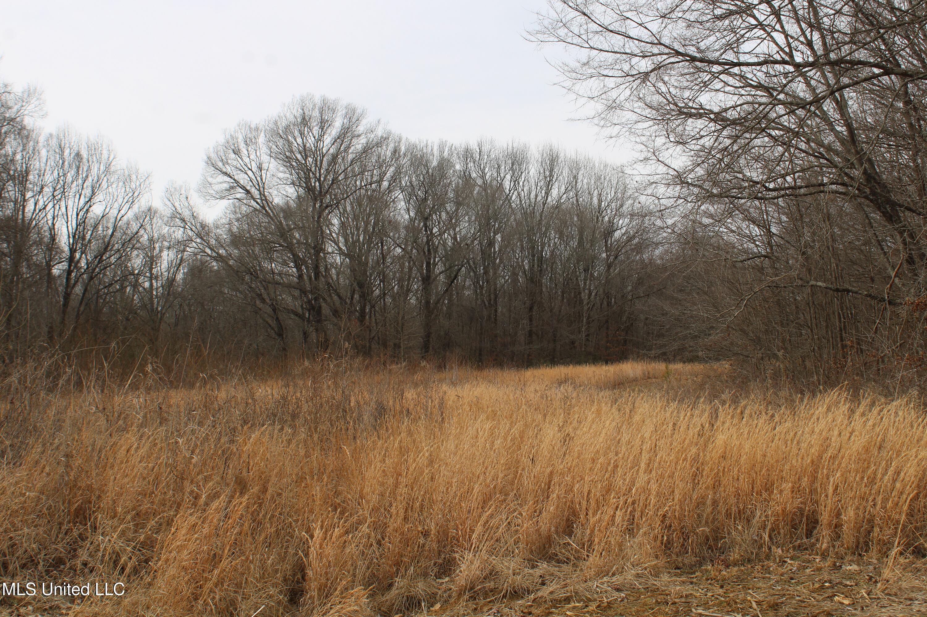 6000 Austin Road Walls, MS 38680 - Photo 18 of 20 IMG_7274