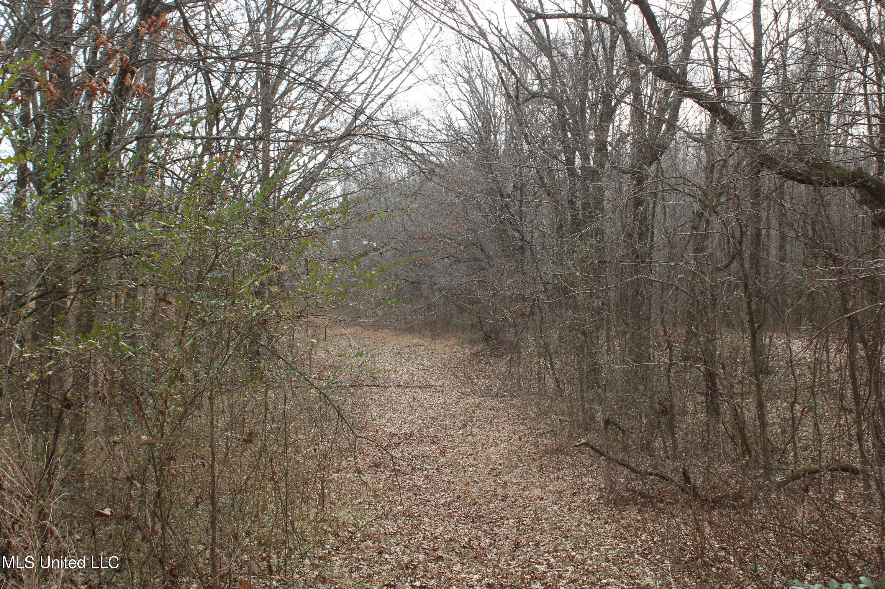 6000 Austin Road Walls, MS 38680 - Photo 19 of 20 IMG_7275