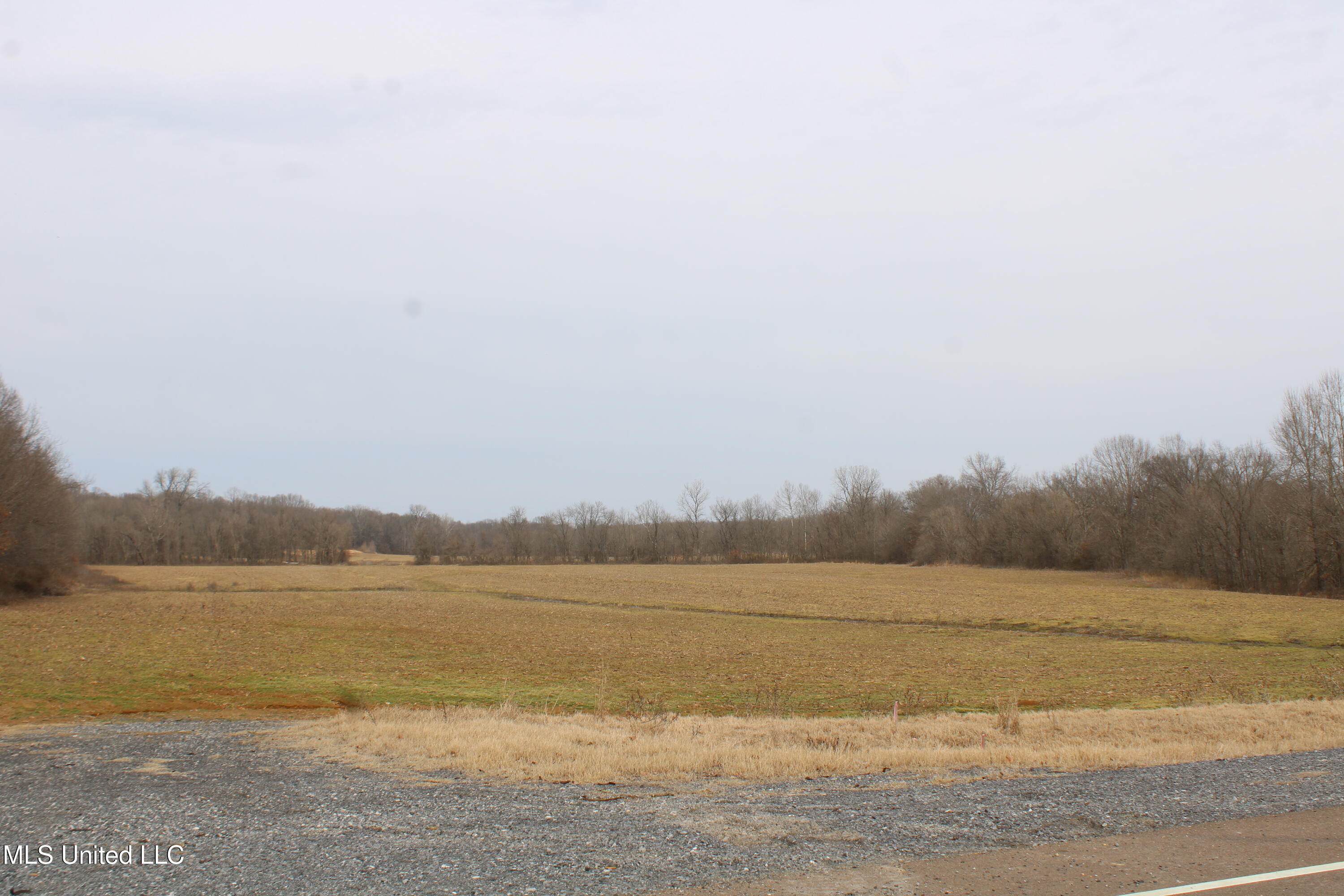 6000 Austin Road Walls, MS 38680 - Photo 2 of 20 IMG_7260