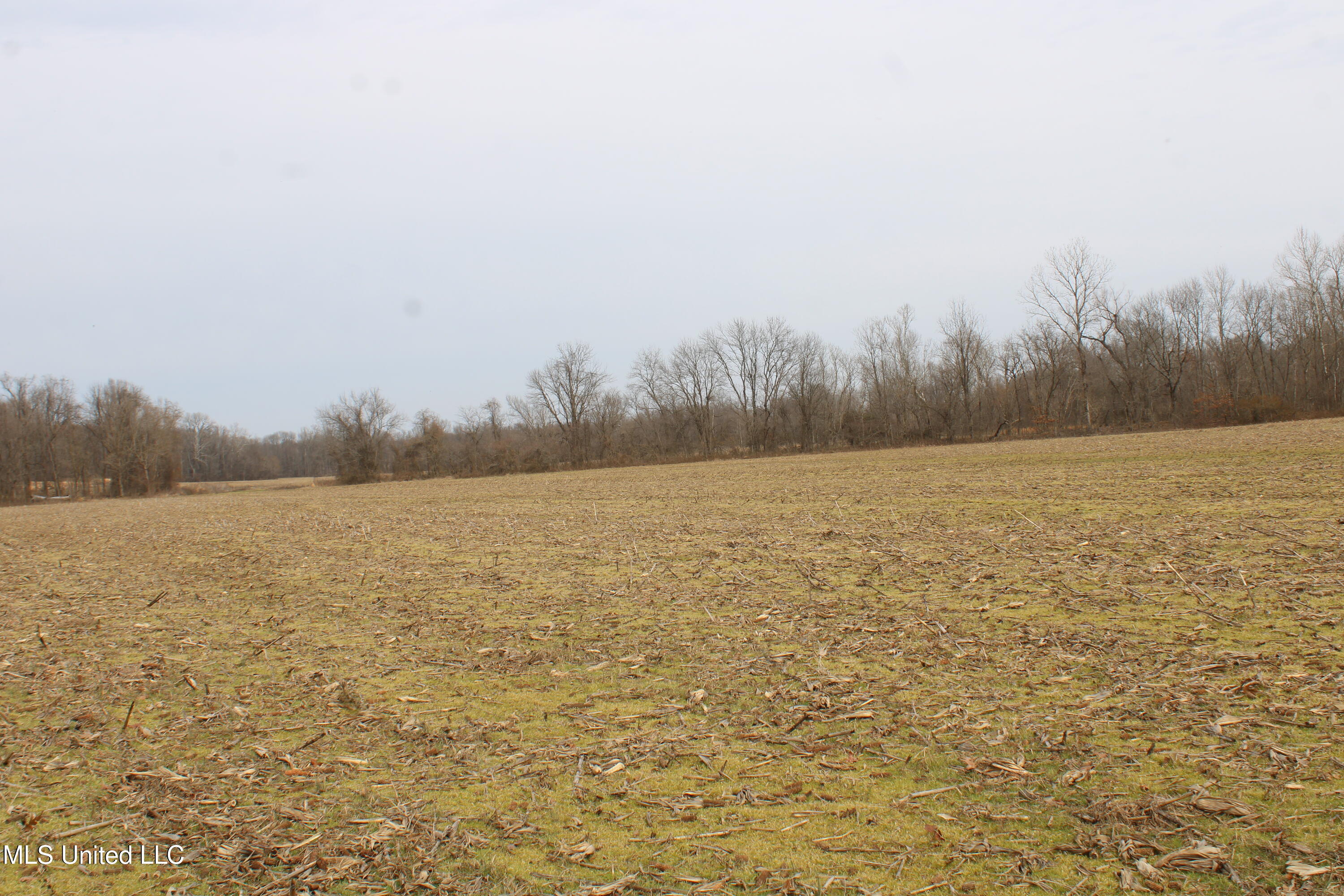 6000 Austin Road Walls, MS 38680 - Photo 3 of 20 IMG_7262