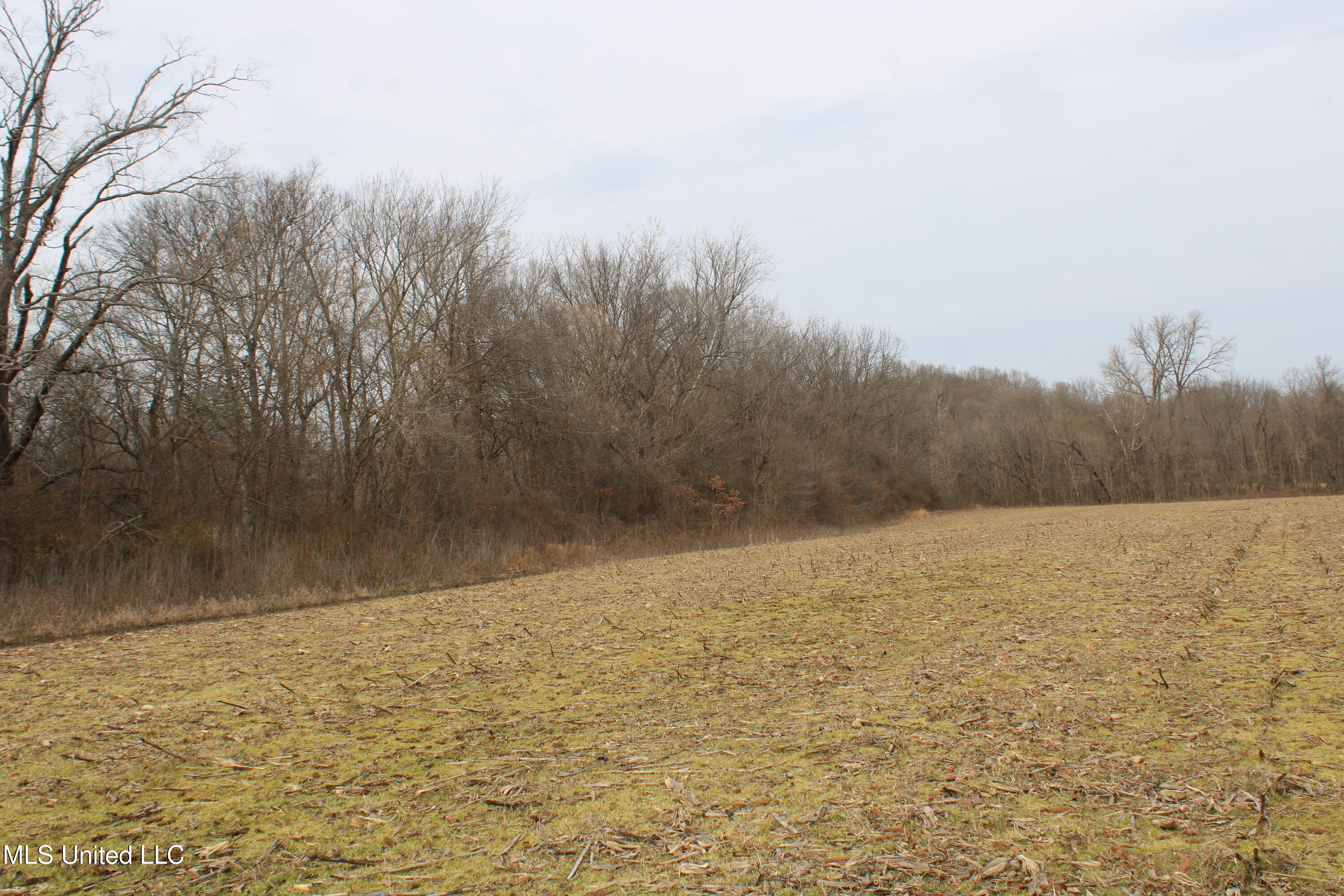 6000 Austin Road Walls, MS 38680 - Photo 4 of 20 IMG_7263